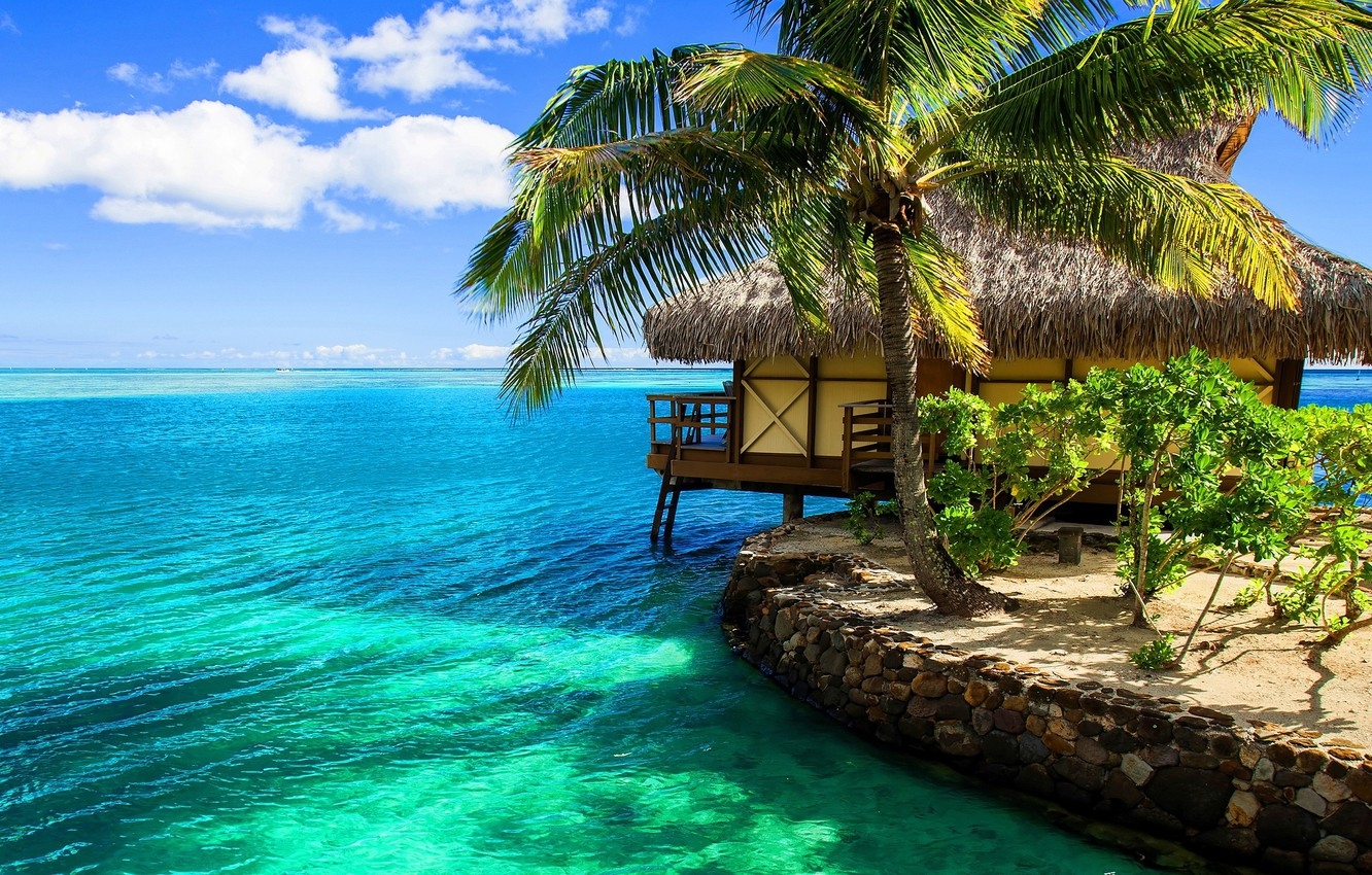 1340x850 Wallpaper tropics, Palma, the ocean, exotic, beach, Bungalow, bungalow resort image for desktop, section пейзажи, Desktop