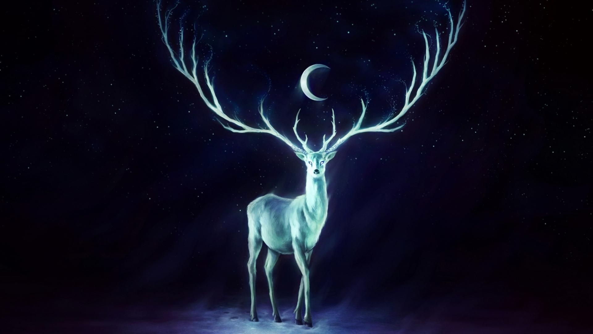 1920x1080 Deer Wallpaper, Desktop