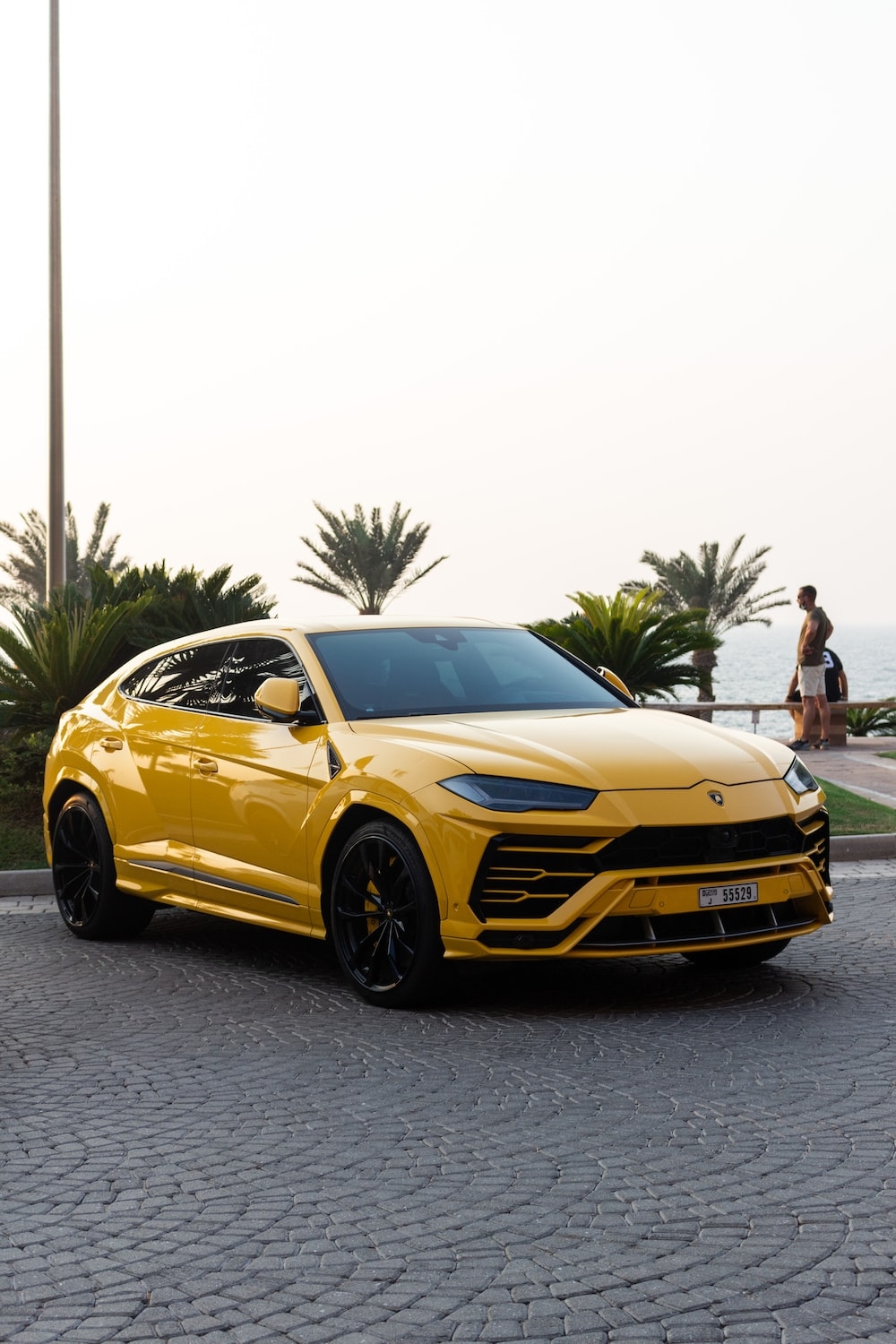 1000x1500 Urus Picture. Download Free Image, Phone