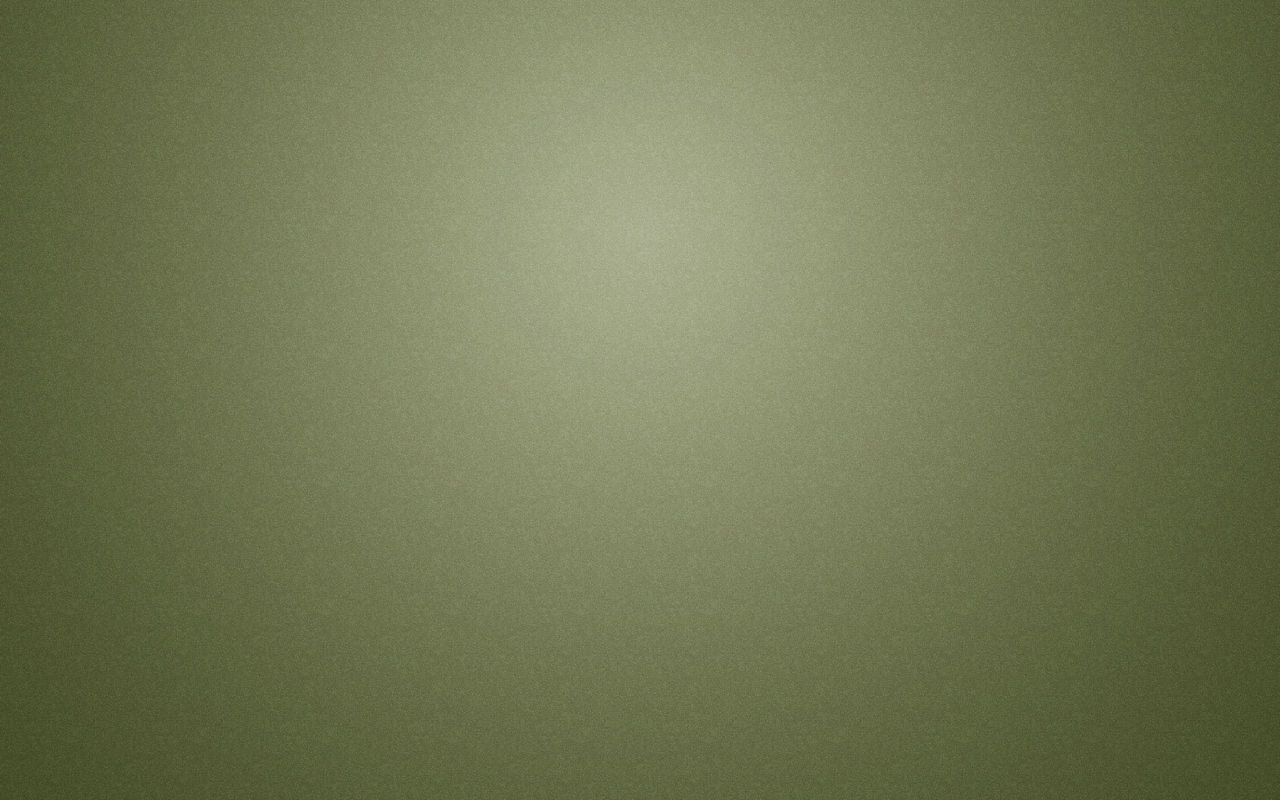 2560x1600 Plain Color Wallpaper Background Free Download. Olive green, Desktop