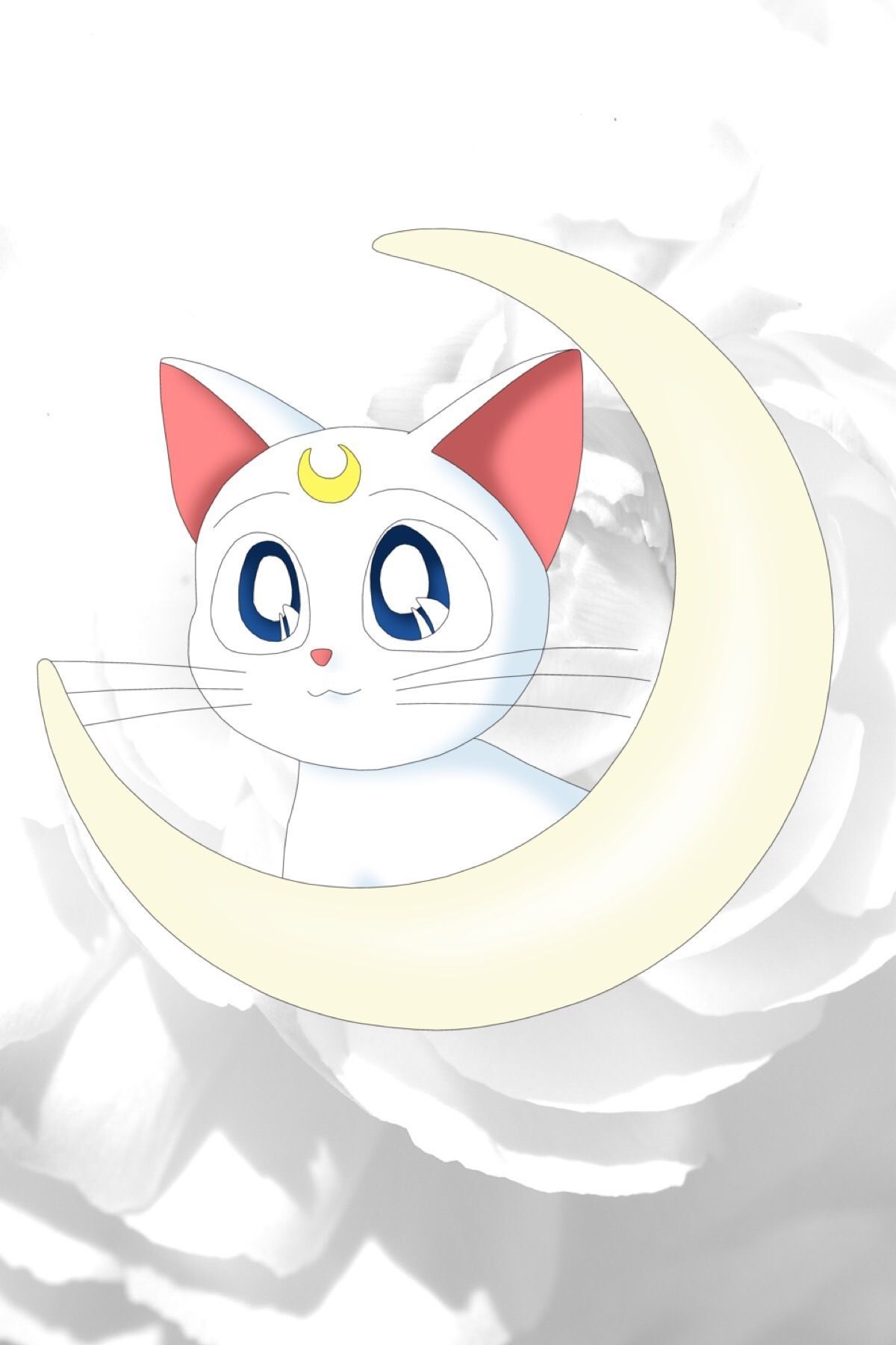 1200x1800 Sailor Moon Artemis Wallpaper Free Sailor Moon Artemis Background, Phone