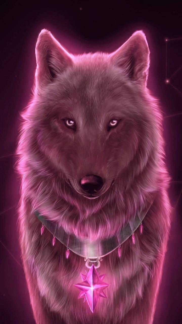 720x1280 Cute animals. Wolf, Phone