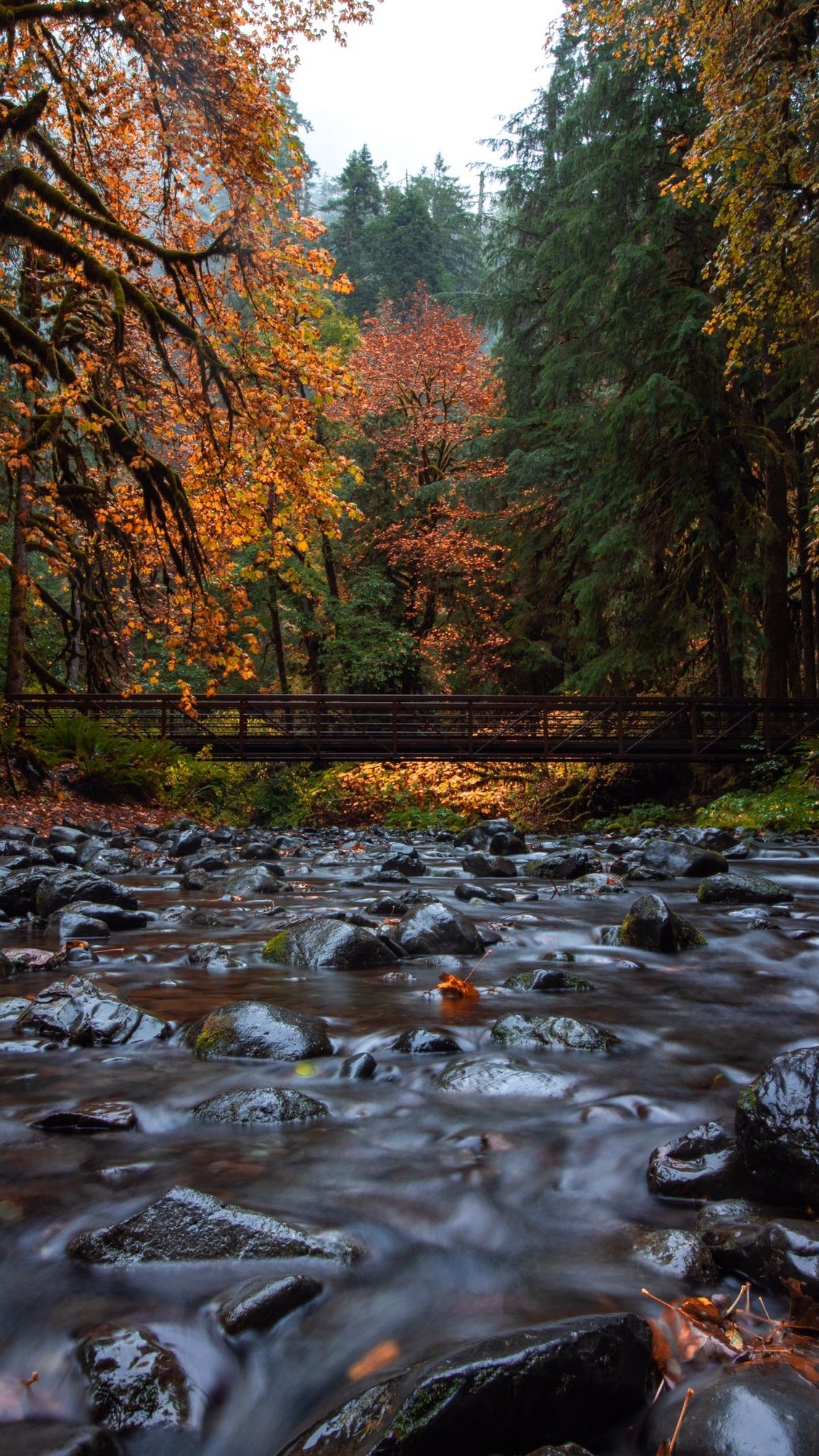 1440x2560 Smoky Mountains HD Wallpaper, Phone