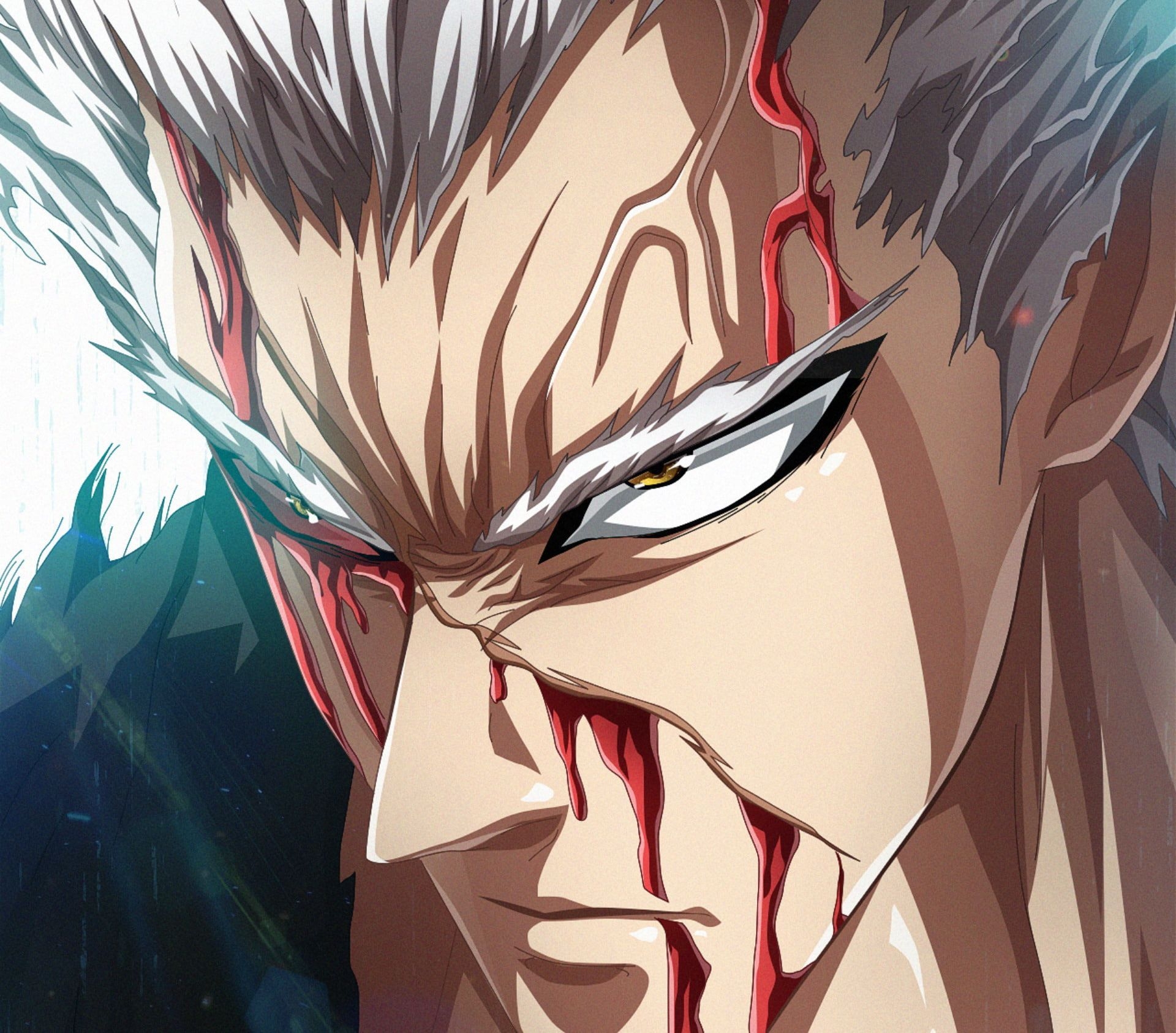 1920x1690 Anime One Punch Man Garou (One Punch Man) P #wallpaper #hdwallpaper #desktop. One Punch Man, One Punch Man Anime, Saitama One Punch Man, Desktop