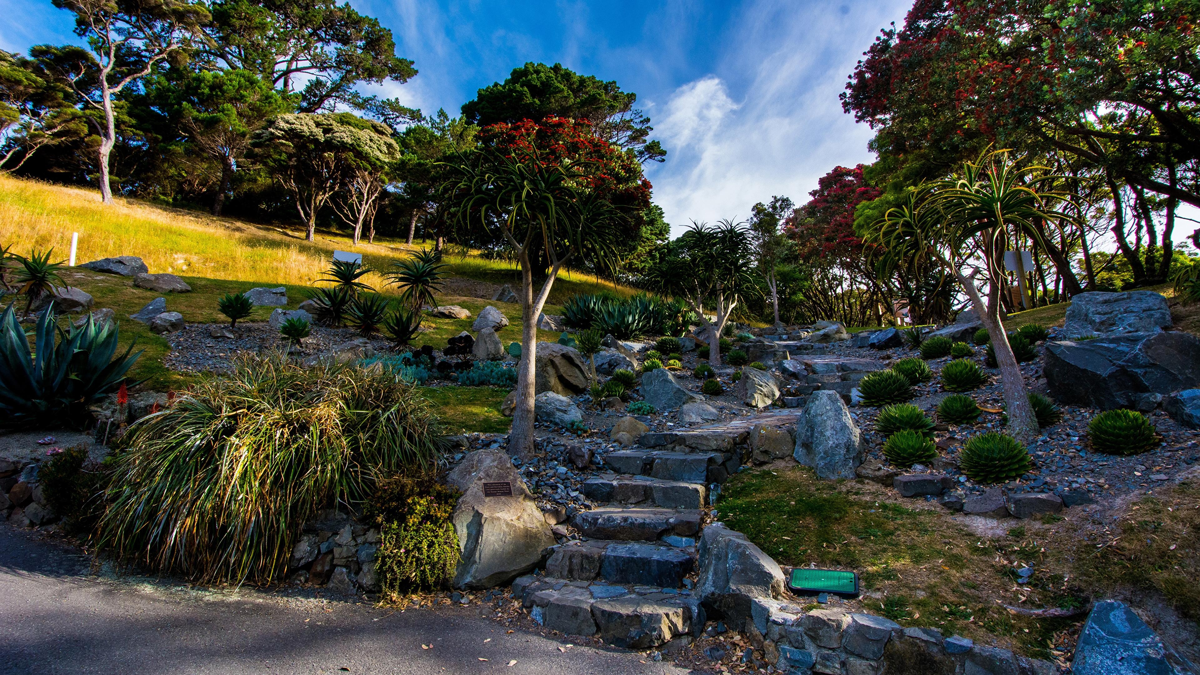 3840x2160 image New Zealand Wellington Botanical garden Nature, Desktop