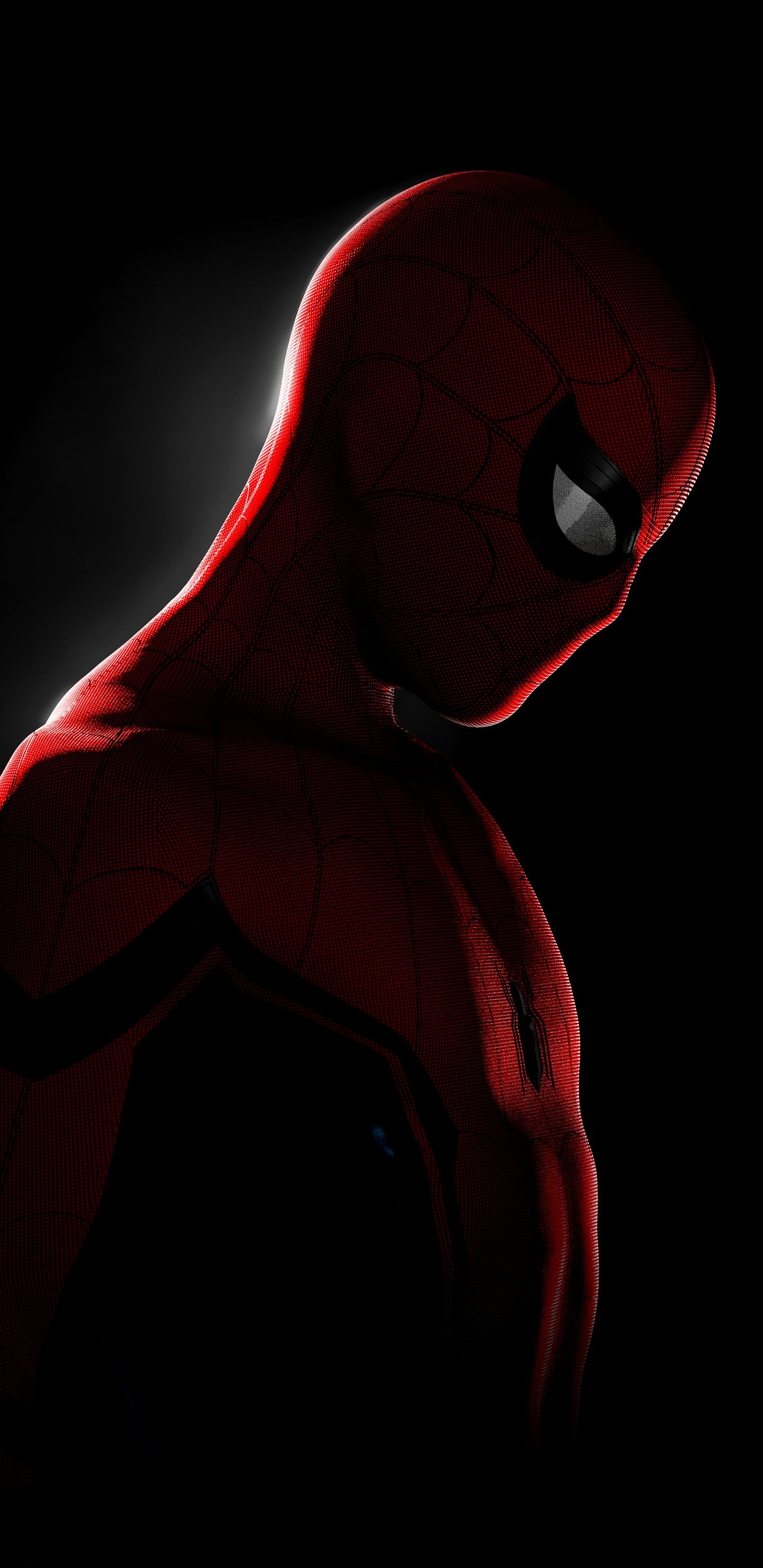 1440x2960 Spiderman In the Dark [1440X2960], Phone