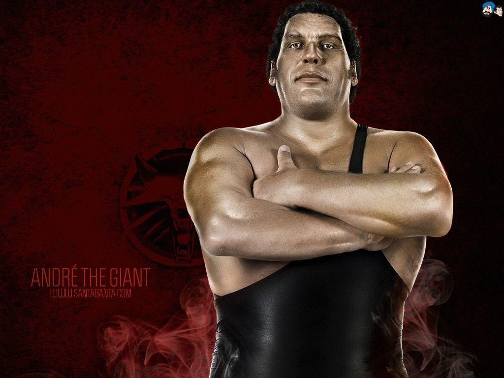 1030x770 Free Download WWE HD Wallpaper, Desktop