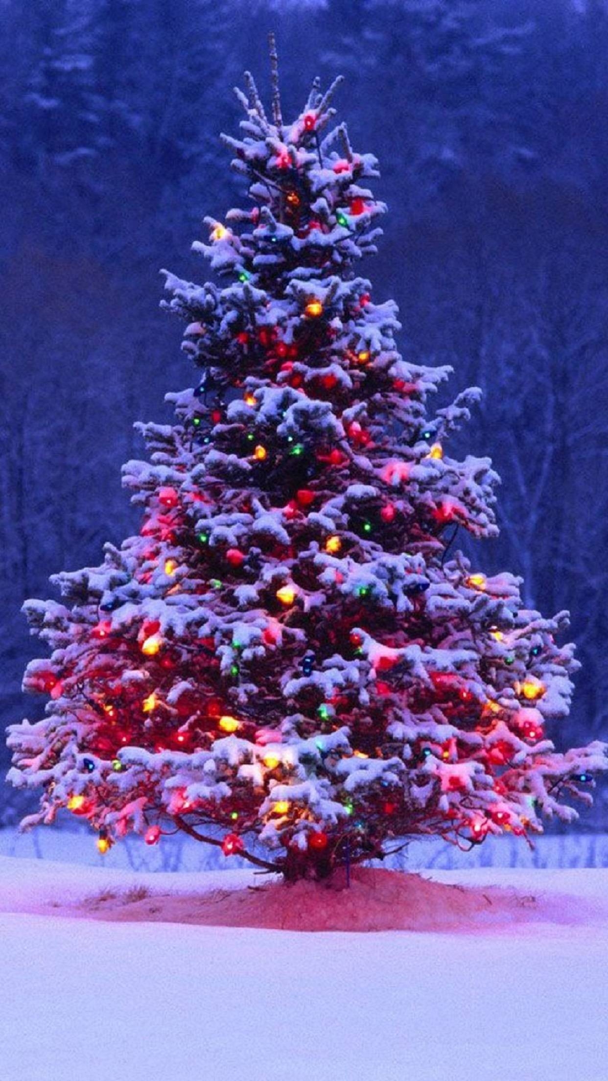 1250x2210 Try to Use 32 Christmas Wallpaper for iPhones, Phone