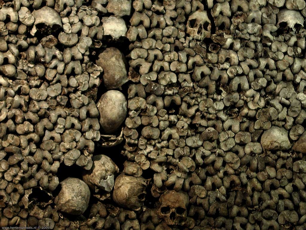 1030x770 Pix For > Skulls And Bones Wallpaper, Desktop