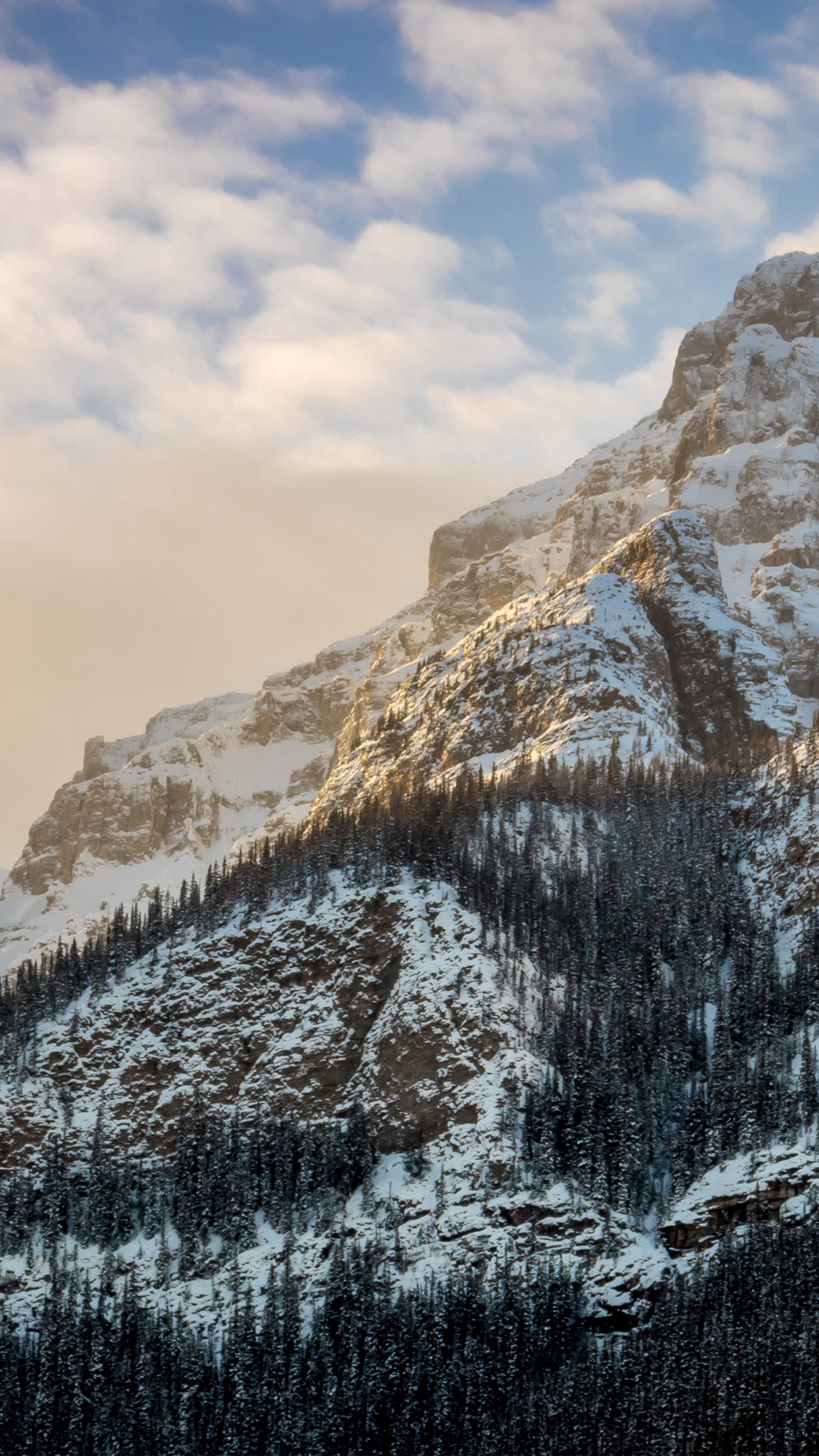 1250x2210 Mountain snow winter cold nature, Phone