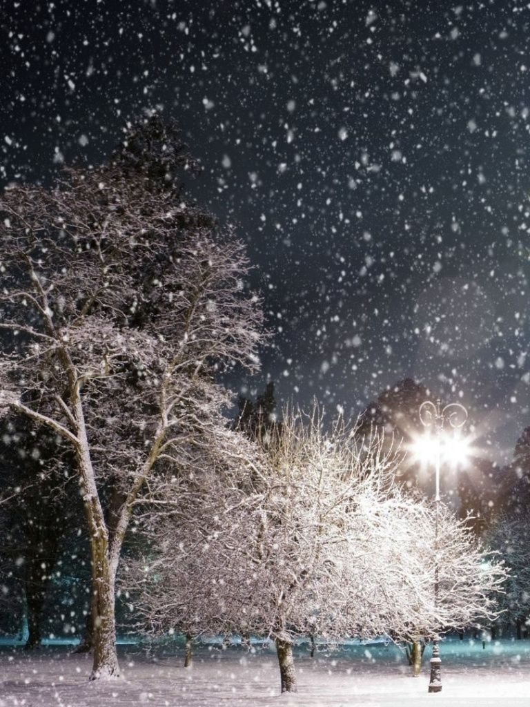 770x1030 Night Snow Wallpaper Phone, Phone