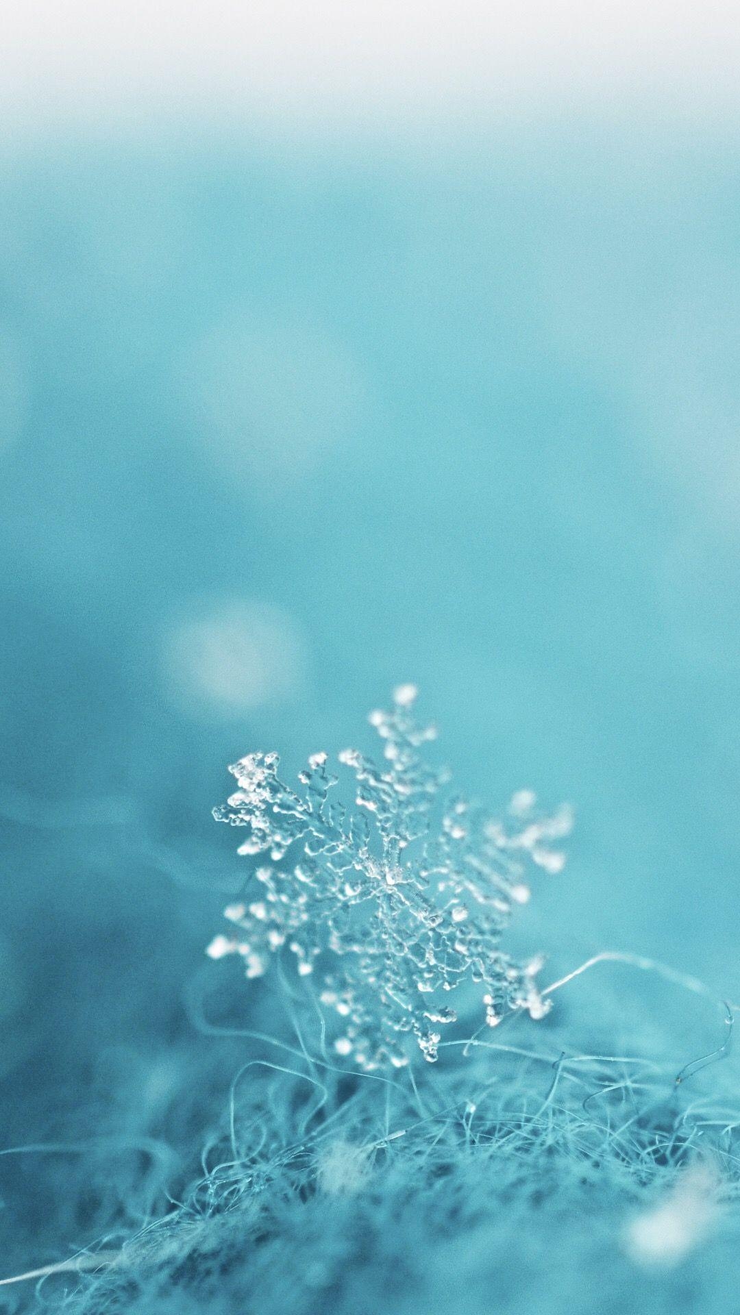 1080x1920 Teal. Light blue aesthetic, Blue, Phone