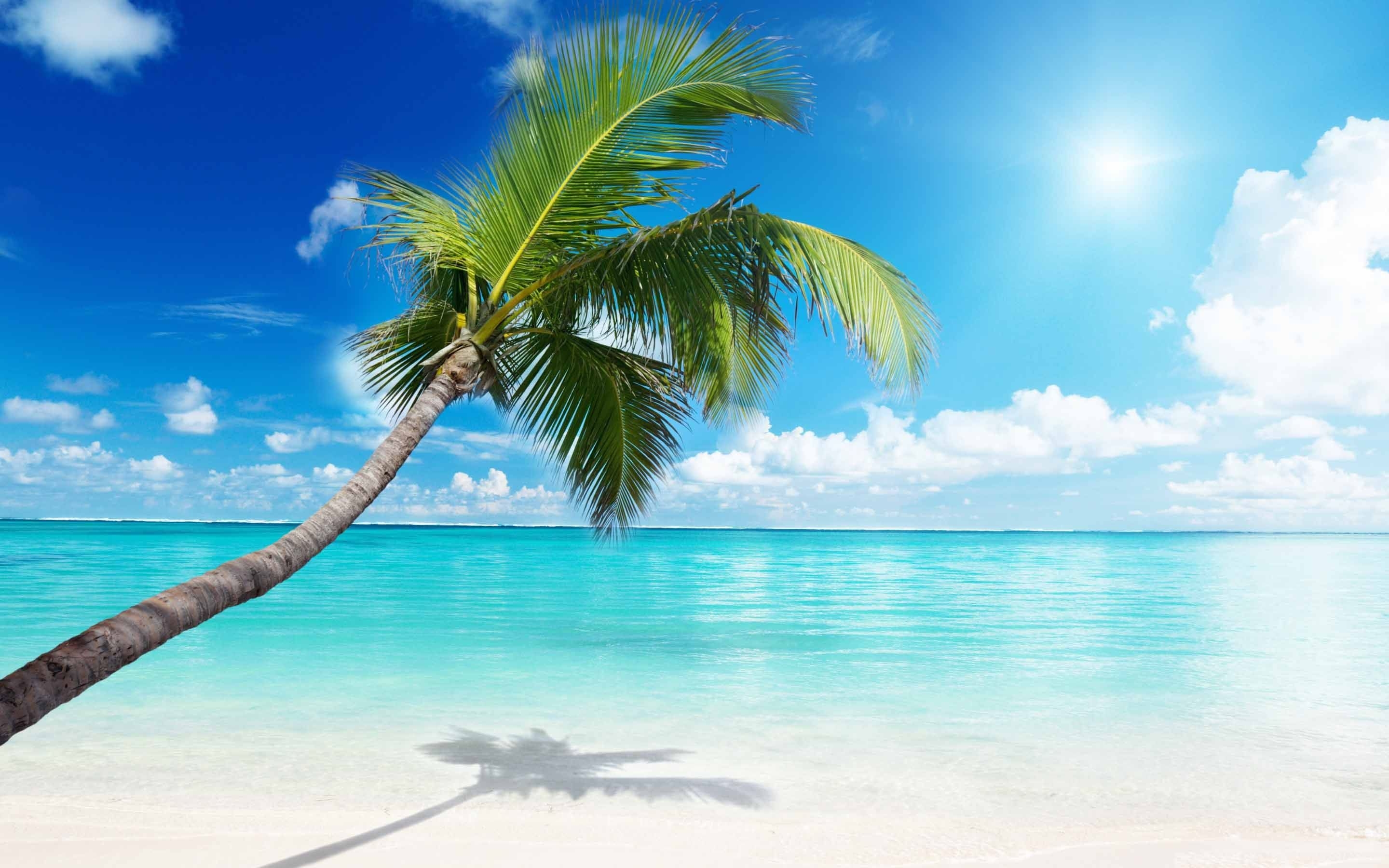 2880x1800 Mac Beach Wallpaper Free Mac Beach Background, Desktop