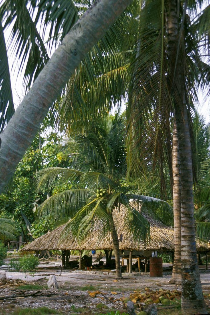 740x1110 Tarawa kiribati ideas. Kiribati island, Phone