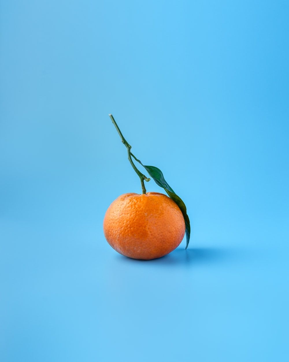 1000x1250 Orange Wallpaper: Free HD Download [HQ], Phone