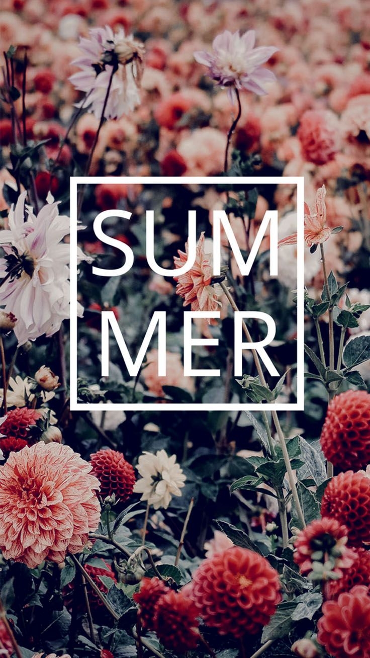 740x1310 Summer Lovin' Quotes iPhone Wallpaper Collection, Phone