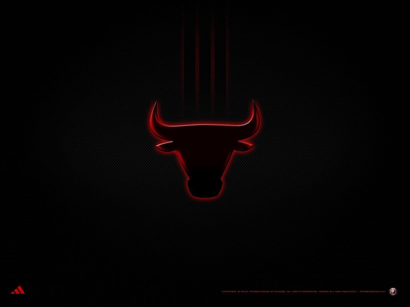 1600x1200 Bulls Wallpaper, Desktop