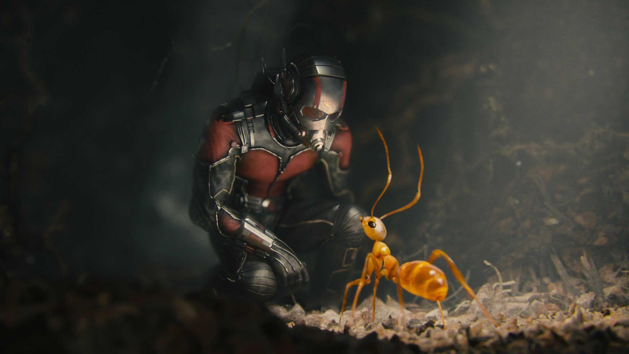 2160x1220 Ant Man HD Wallpaper, Desktop