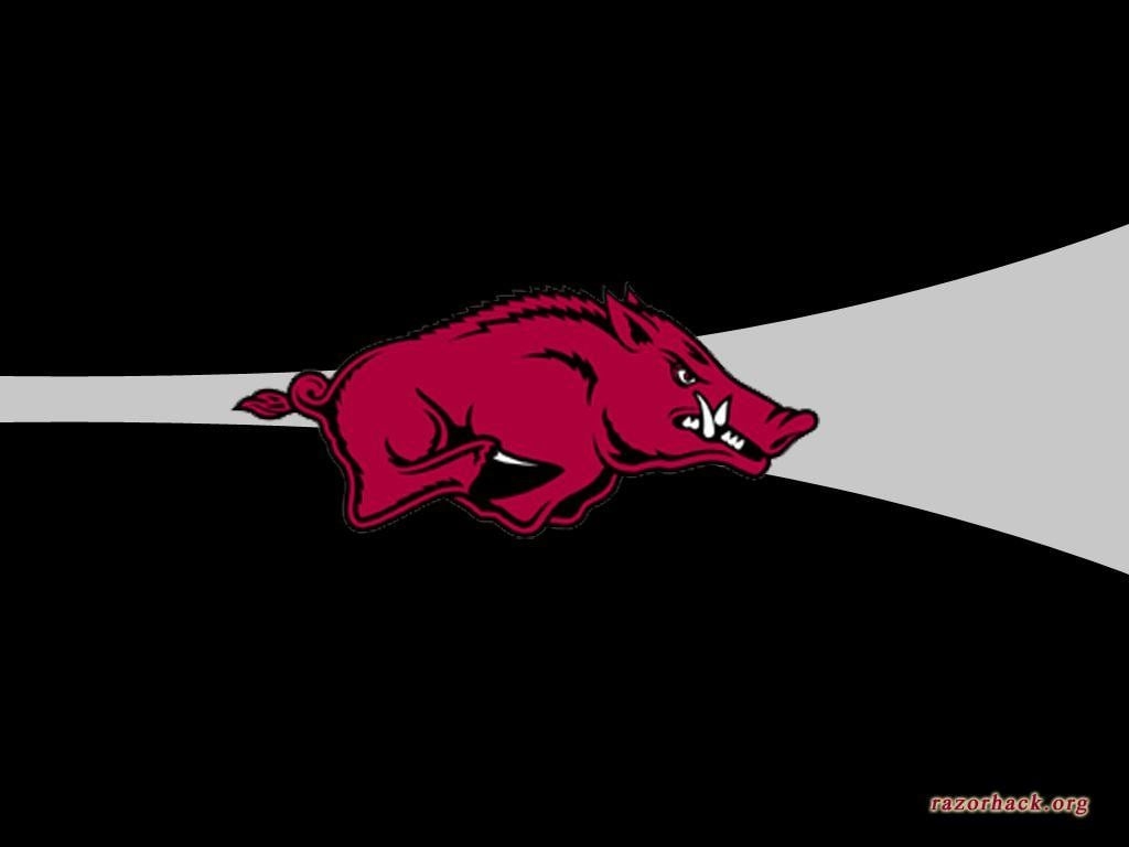 1030x770 Razorback Wallpaper for Computer, Desktop