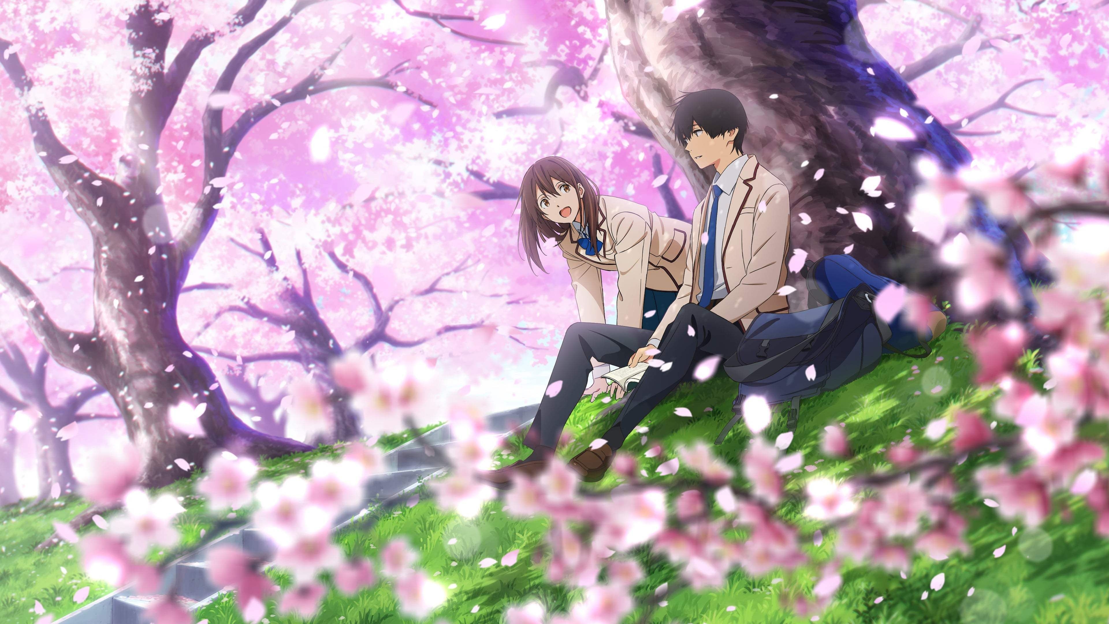 3840x2160 Regarder Kimi no Suizou wo Tabetai Streaming VF Gratuit 2019 film, Desktop