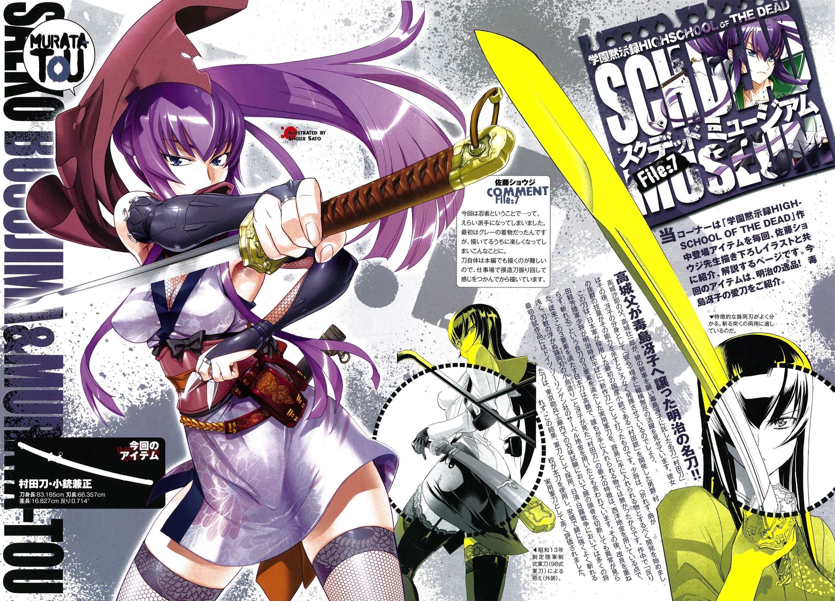 2800x2020 Highschool of the Dead, Busujima Saeko wallpaper, Desktop