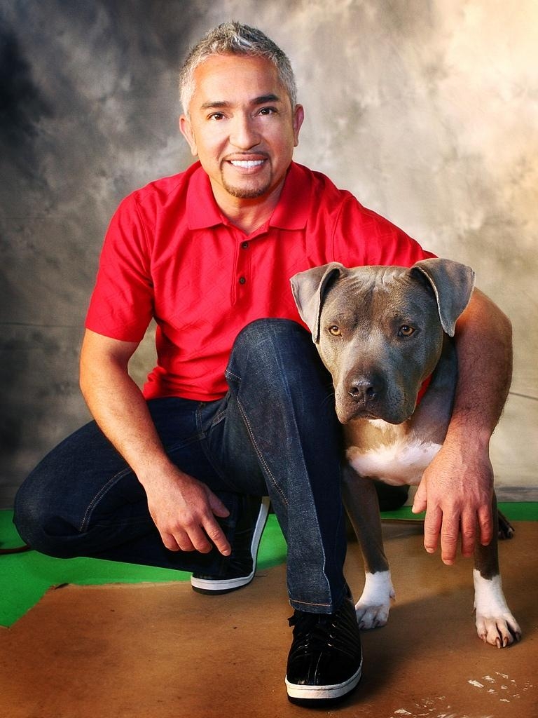 770x1030 Cesar Millan HD Wallpaper, Phone