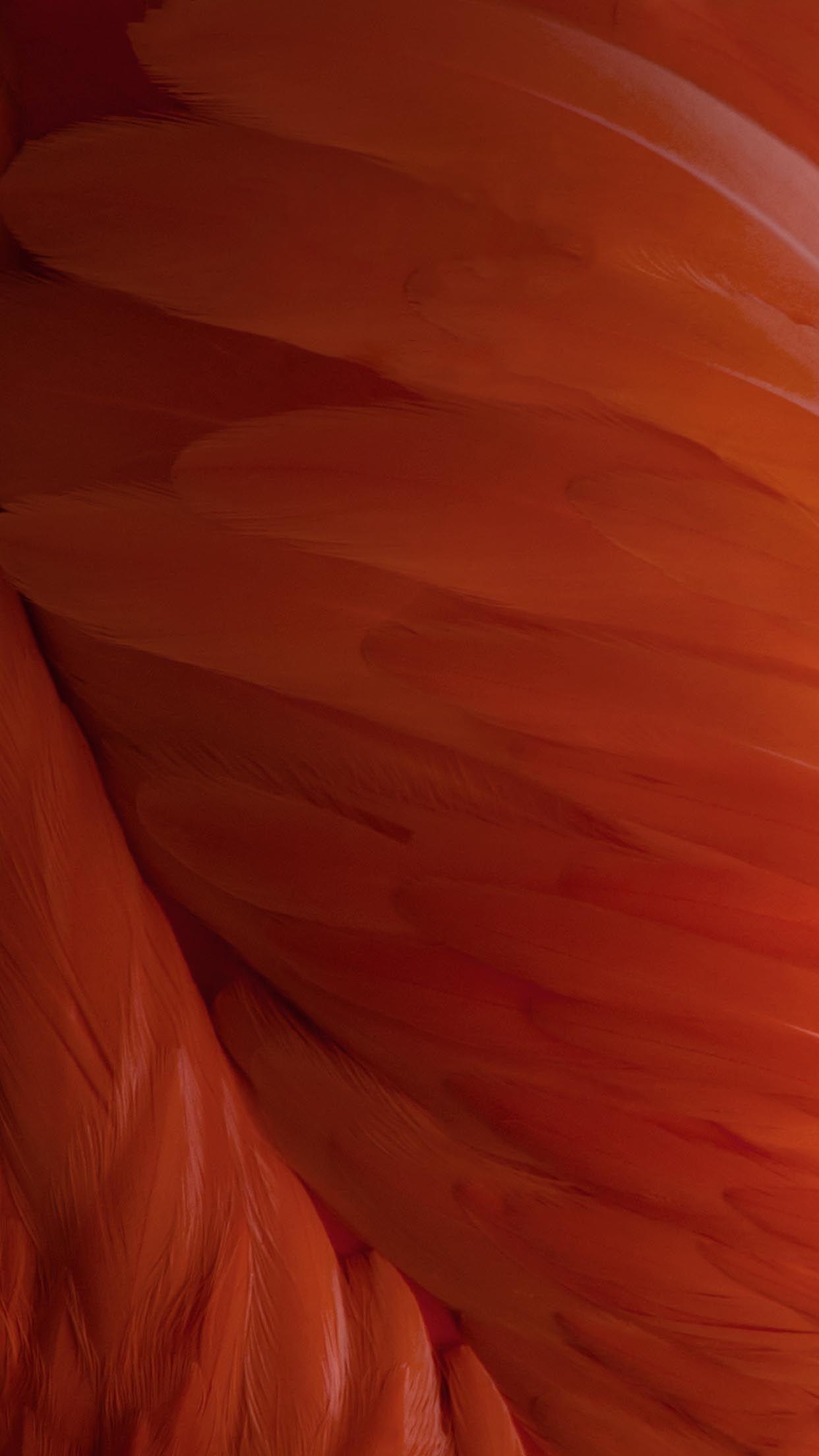 1250x2210 iOS 9 wallpaper now available to download, Phone