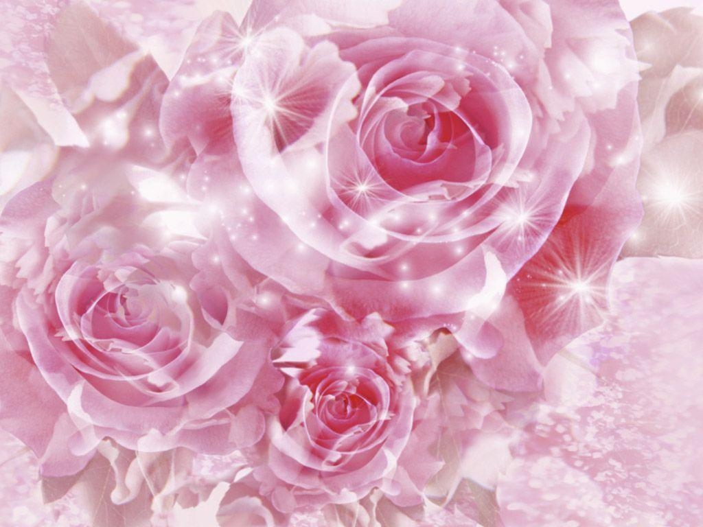 1030x770 Pink roses picture download Wallpaper Designs, Desktop