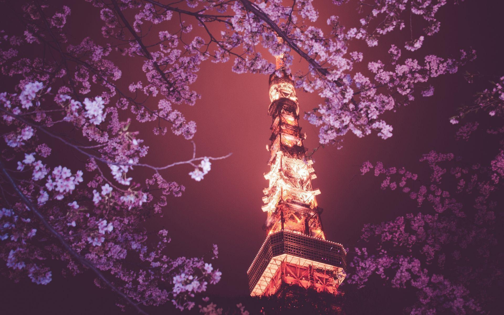 1920x1200 Tokyo Tower HD Wallpaper ) wallpaper, Desktop