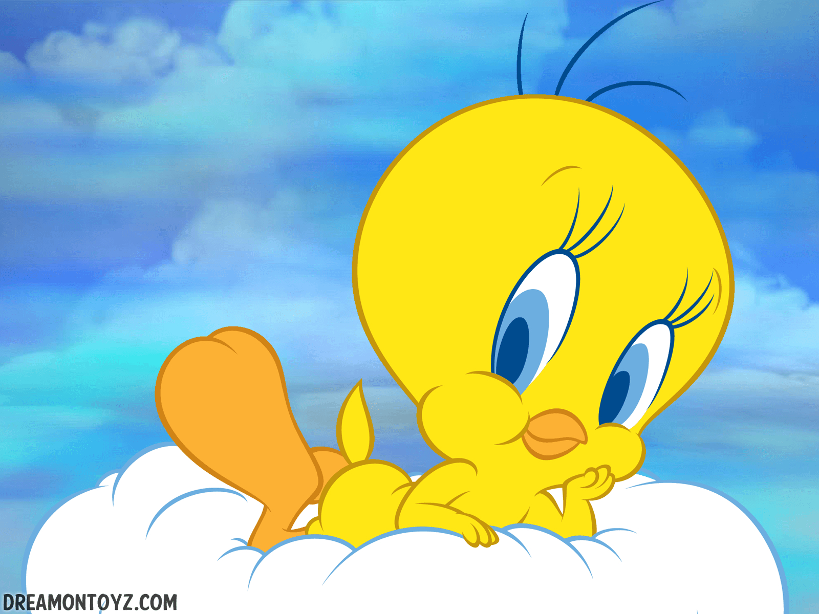 1600x1200 FREE Cartoon Graphics / Pics / Gifs / Photographs: Tweety Bird, Desktop