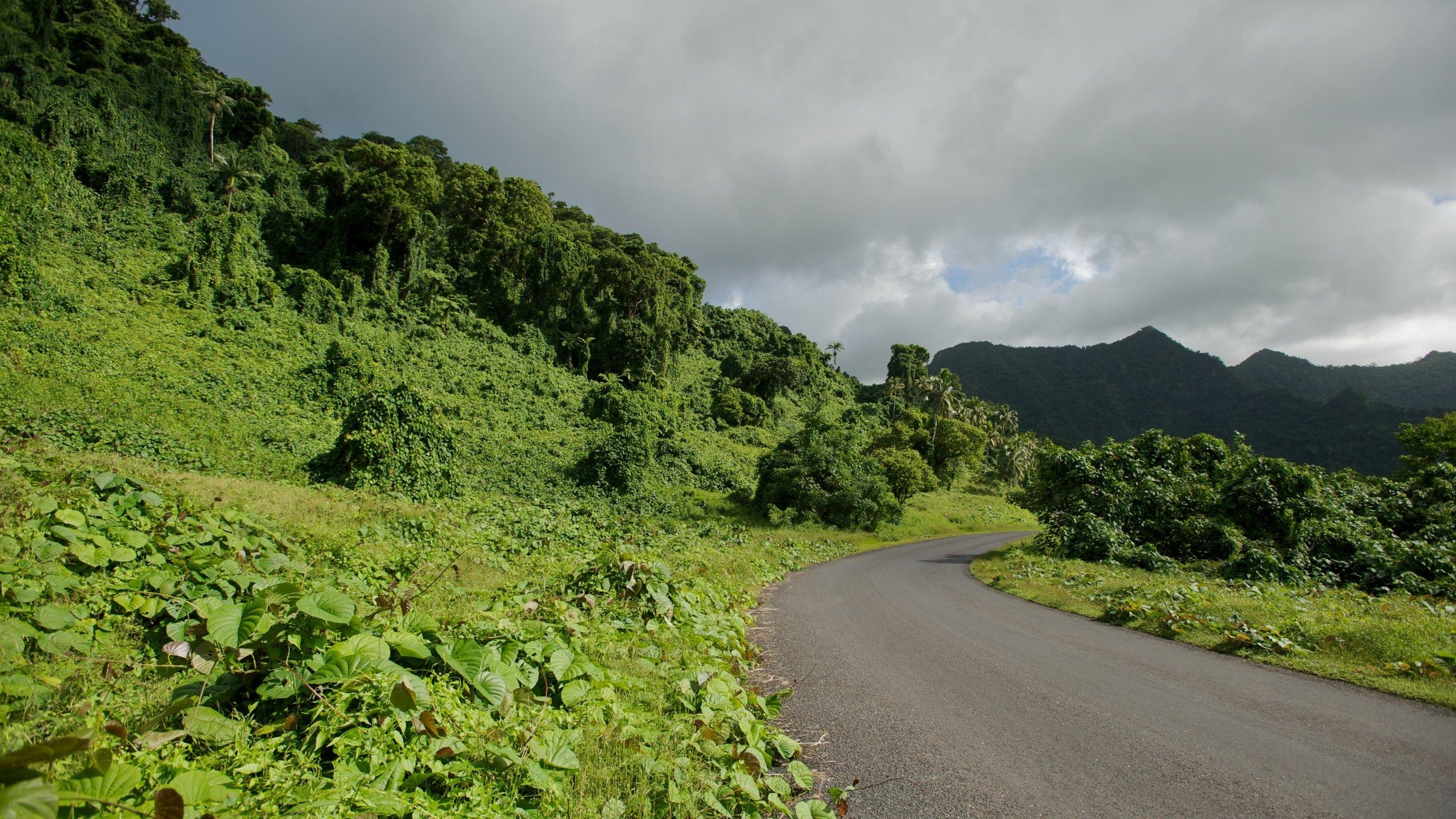 2560x1440 Upolu Accommodation Upolu Hotels 2019, Desktop