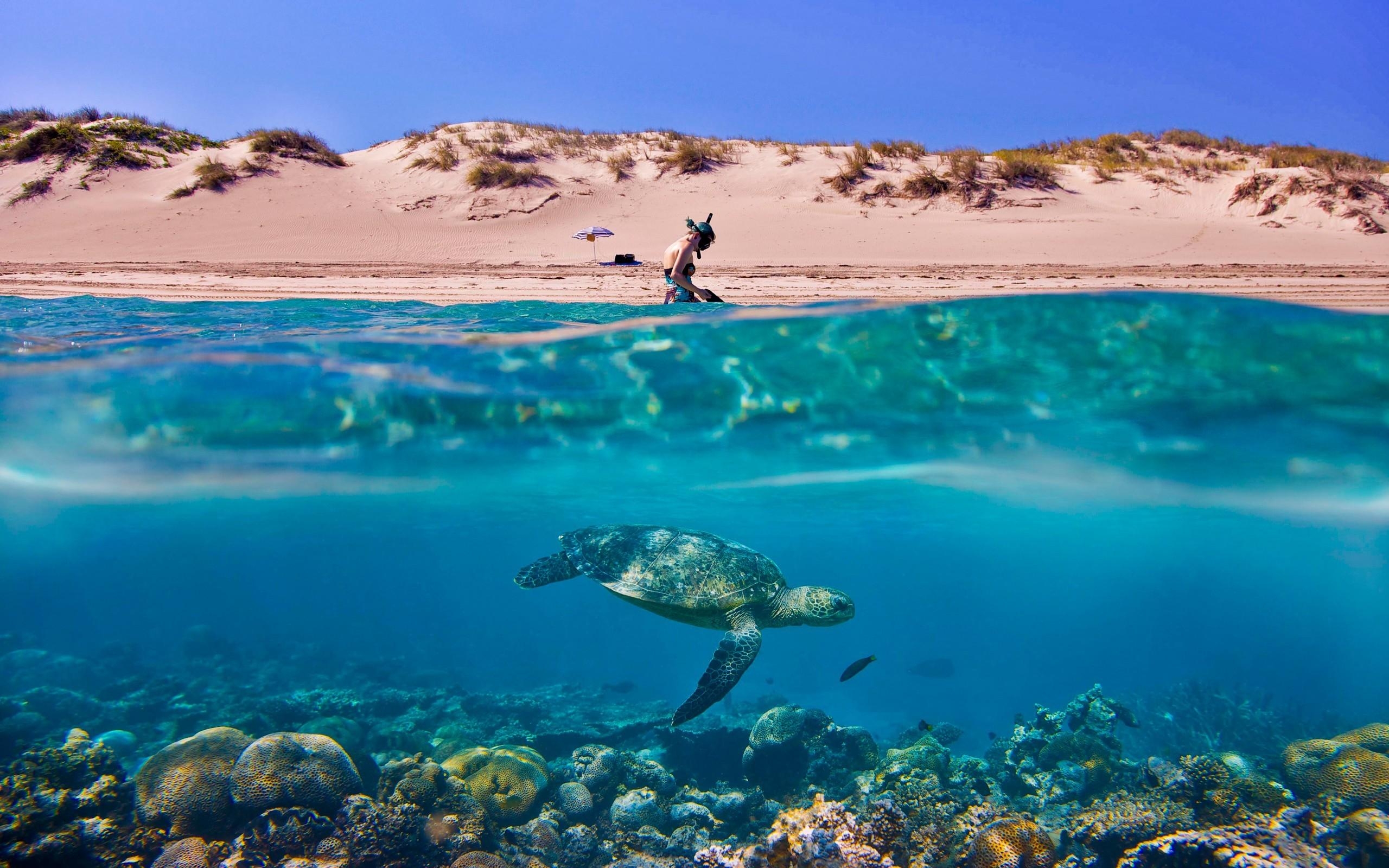 2560x1600 Australia Sand Dunes Umbrellas Scuba Diving Split View Wallpaper, Desktop