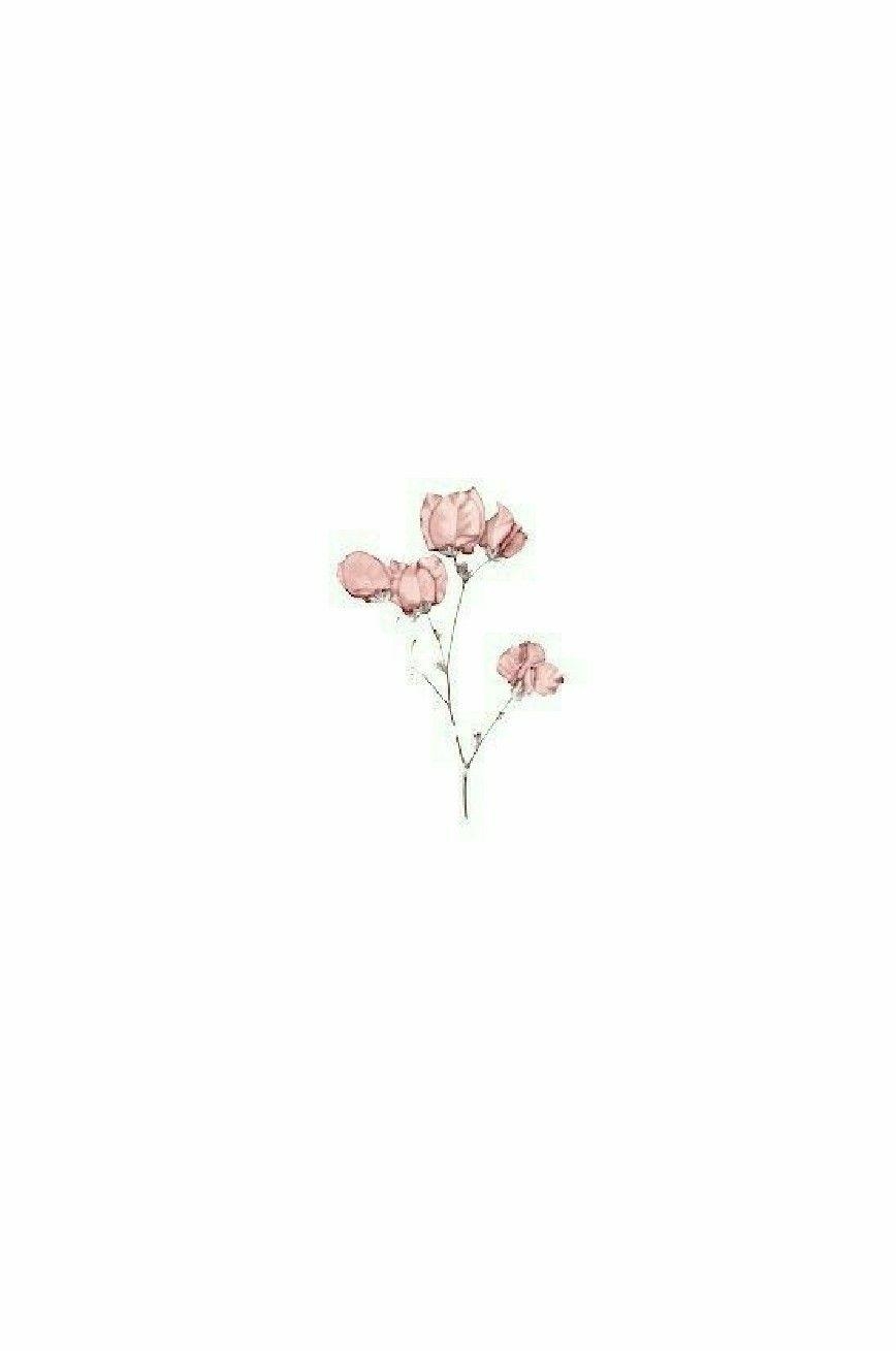 870x1310 wallpaper. Aesthetic background, Flower, Phone