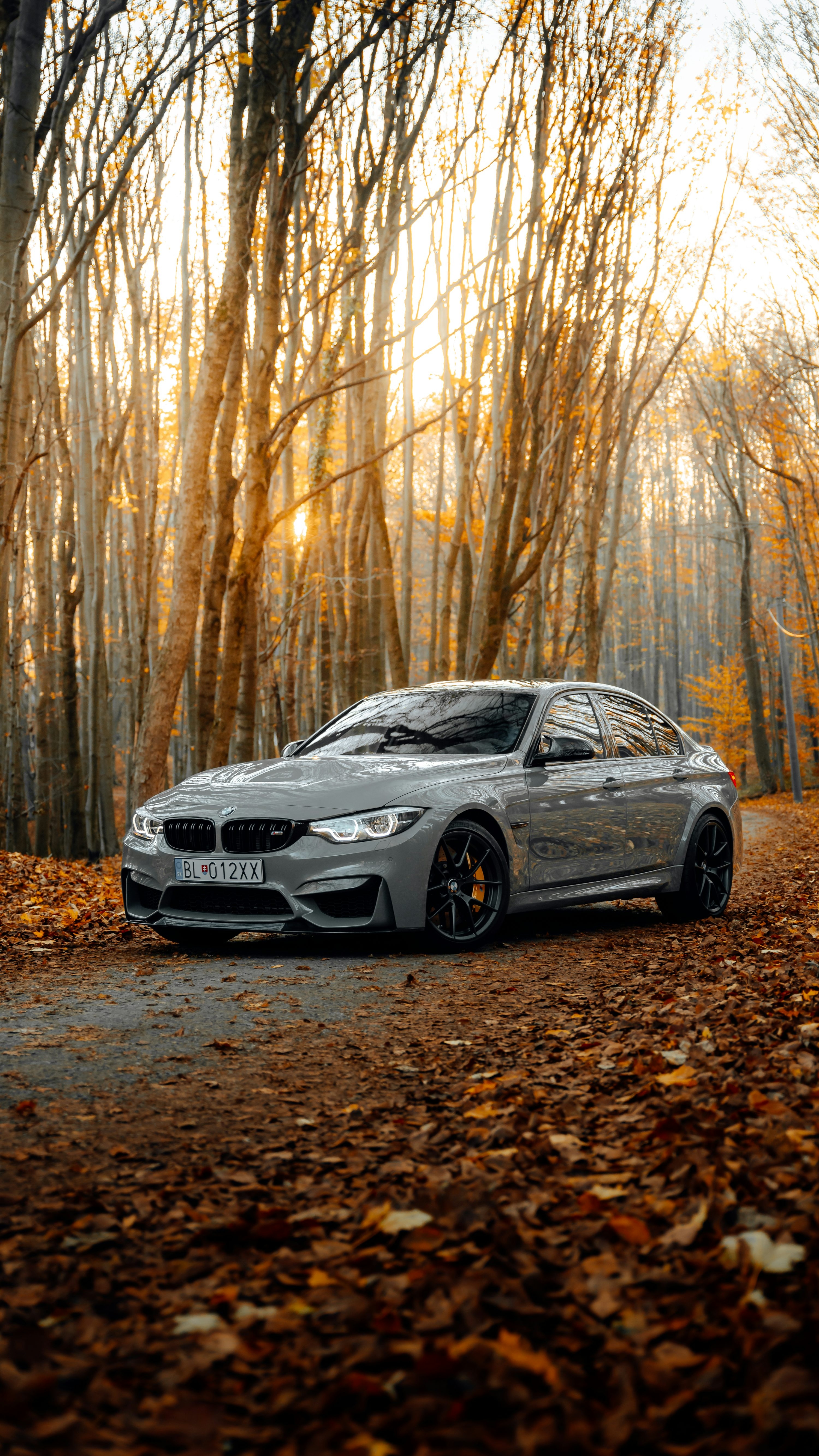 3000x5340 BMW Wallpaper: Free HD Download, Phone