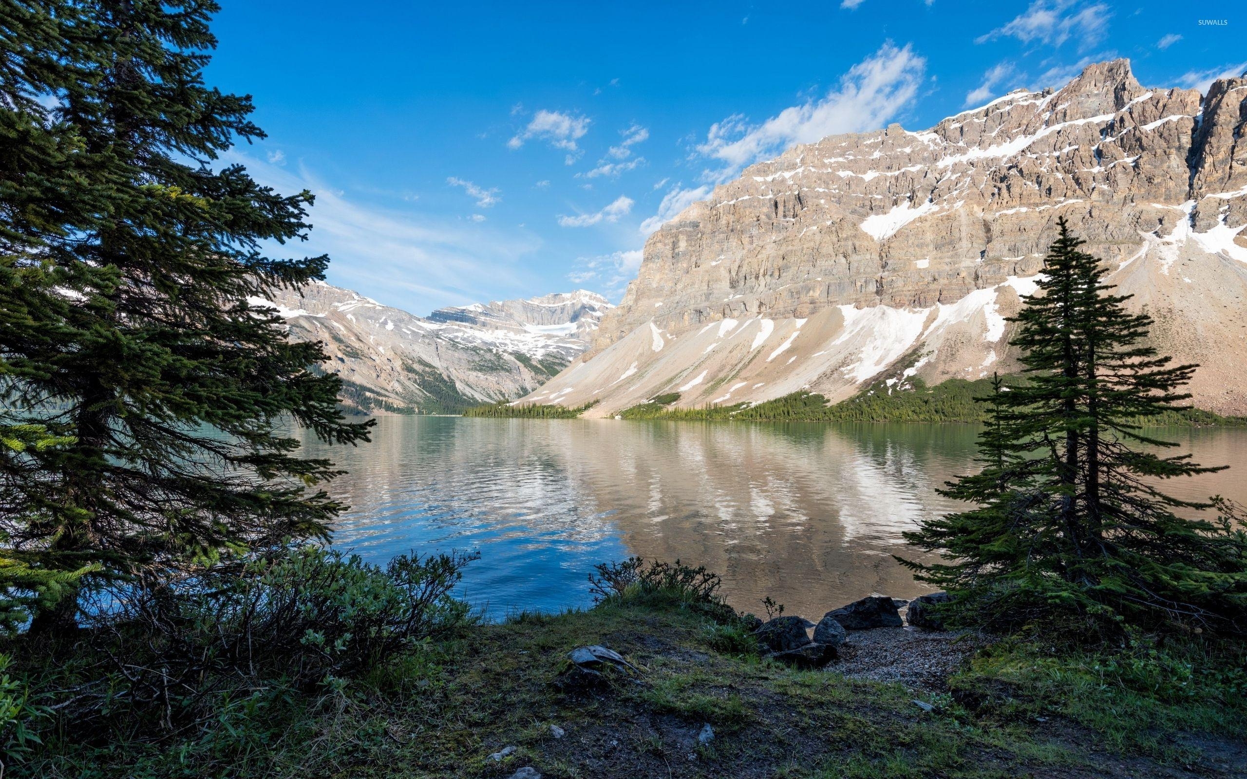 2560x1600 Green trees by the snowy peaks in Banff National Park wallpaper, Desktop