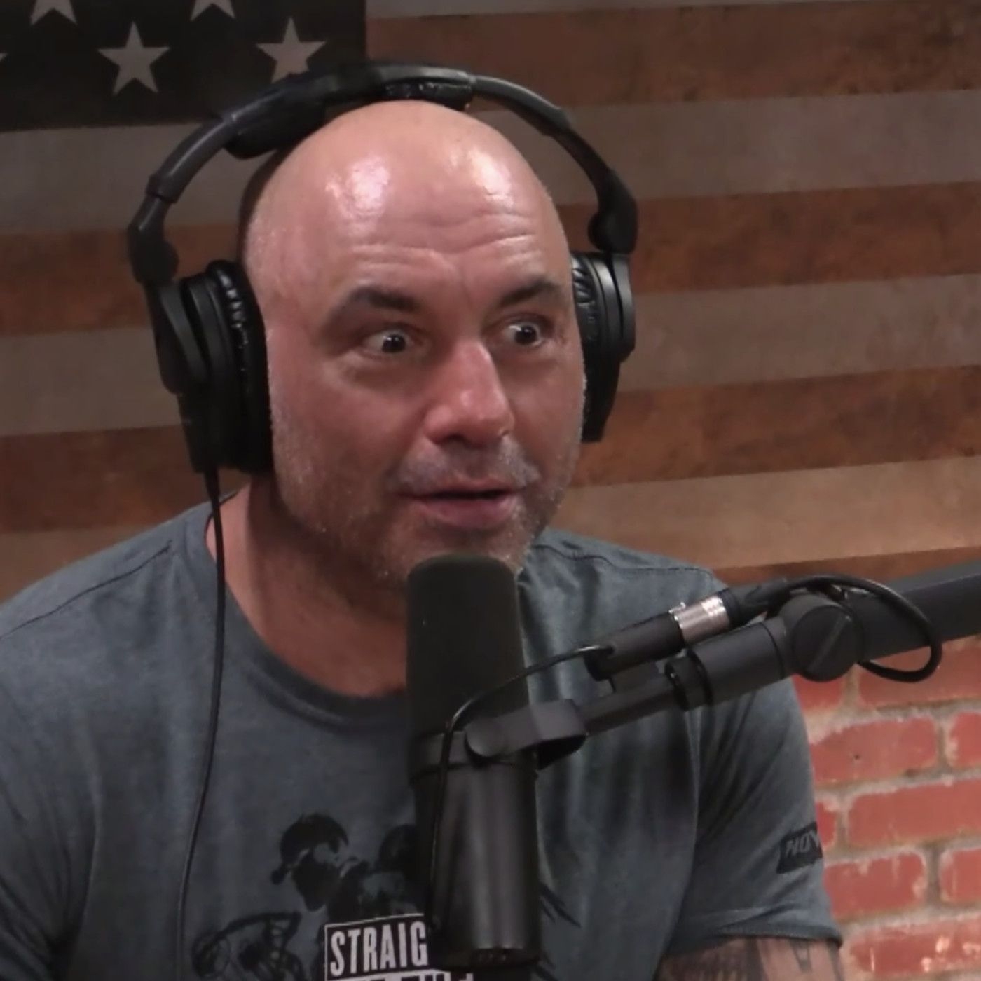 1400x1400 This AI Generated Joe Rogan Fake Has To Be Heard To Be Believed, Phone