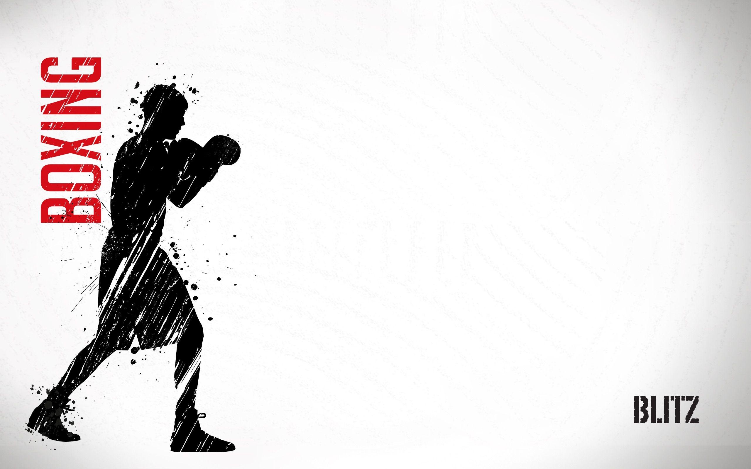 2560x1600 Boxing Wallpaper, 21 Free Boxing Background. IEX67 HD, Desktop