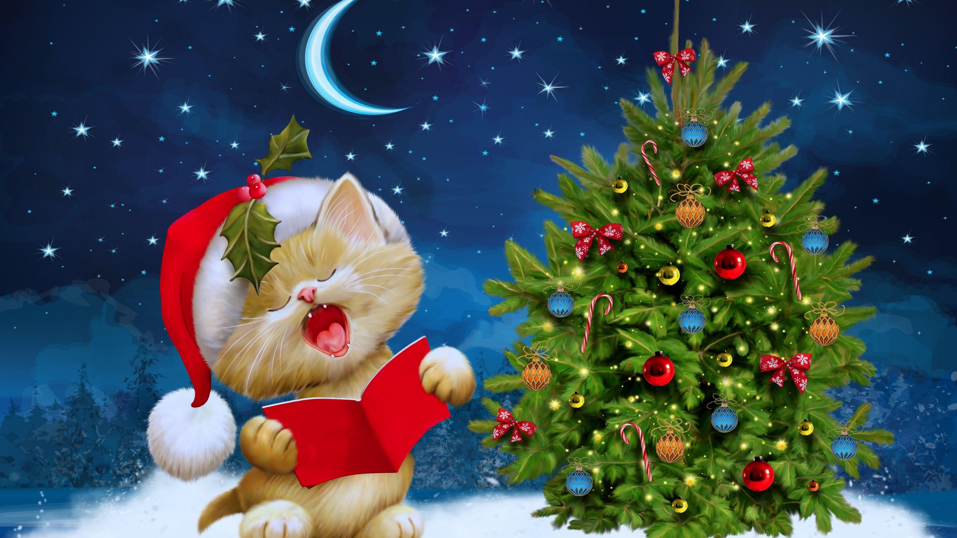 3840x2160 Merry Christmas Kitten Ultra HD Wallpaper. UHD Wallpaper.Net, Desktop