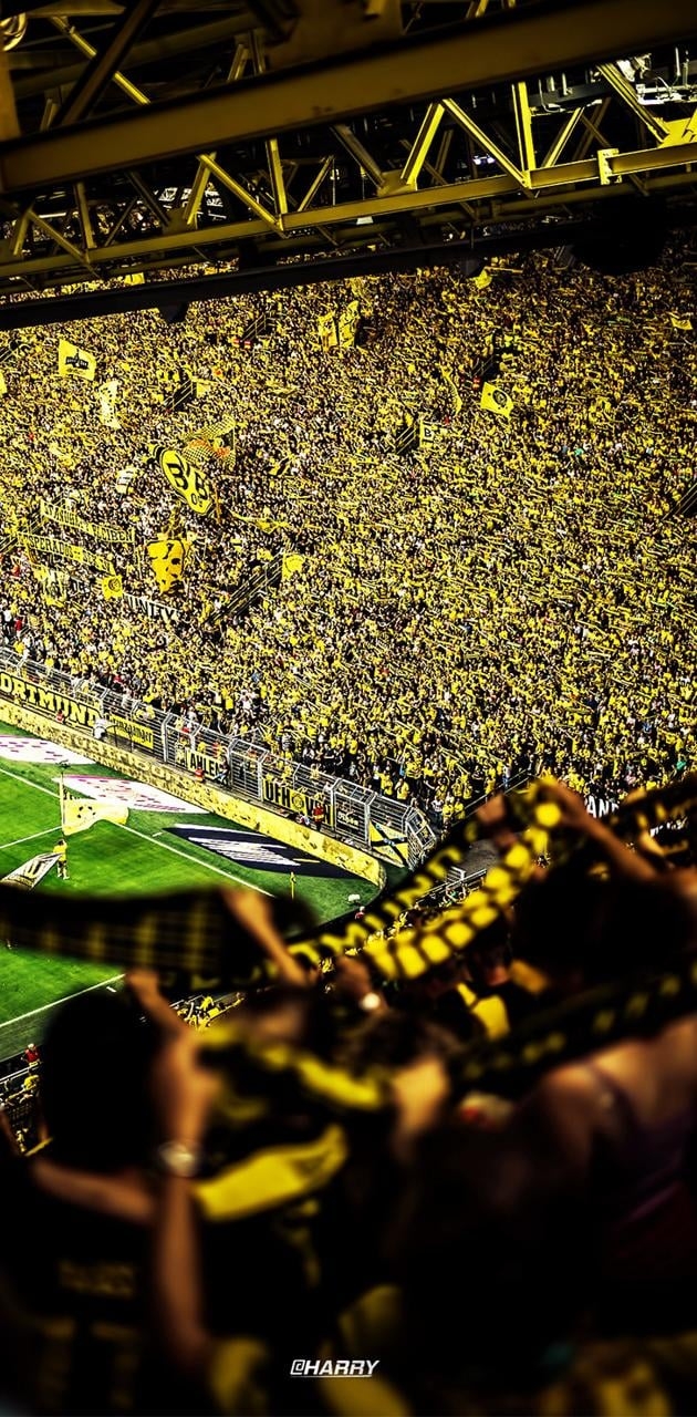 630x1280 Borussia Dortmund wallpaper, Phone