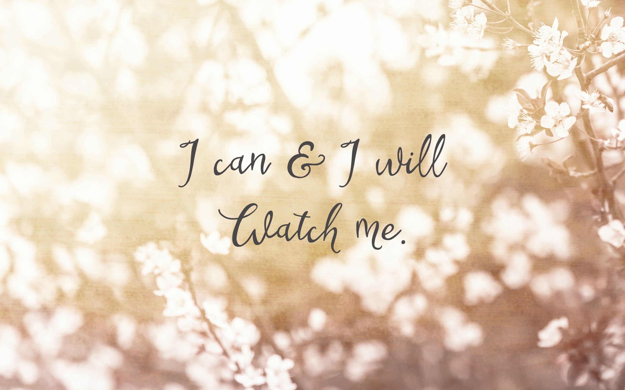 2560x1600 Desktop Wallpaper Quotes I Can And I Will Watch Me, Desktop