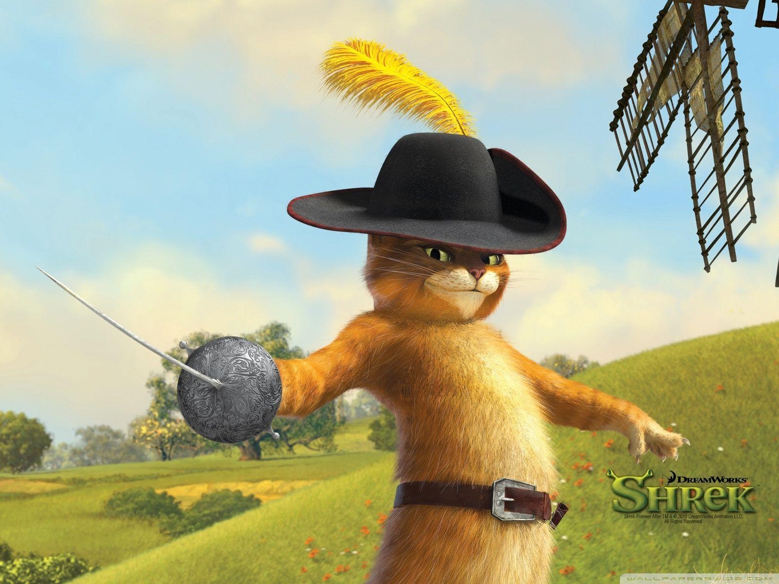 1600x1200 Puss in Boots, Shrek The Final Chapter HD desktop wallpaper, Desktop