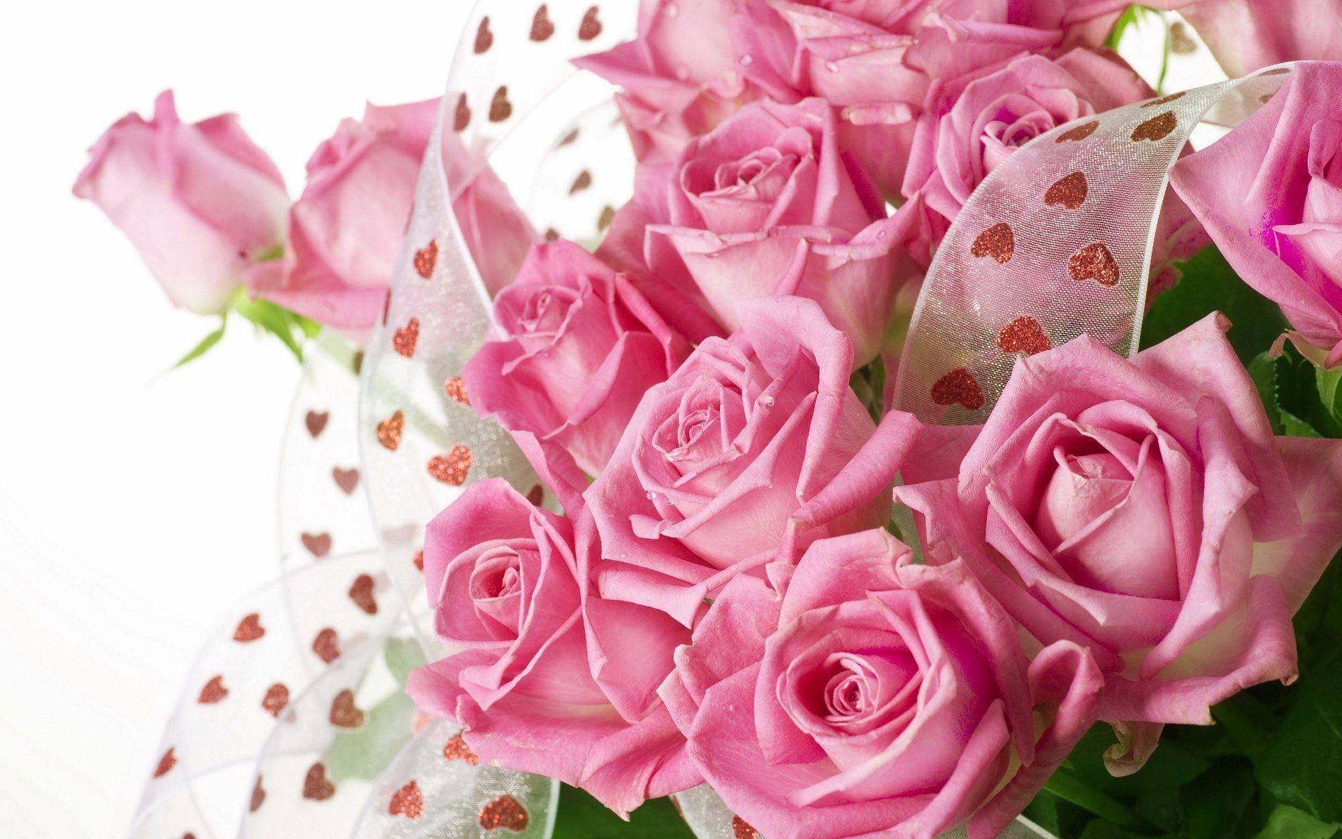 1920x1200 Pretty Pink Roses, Desktop