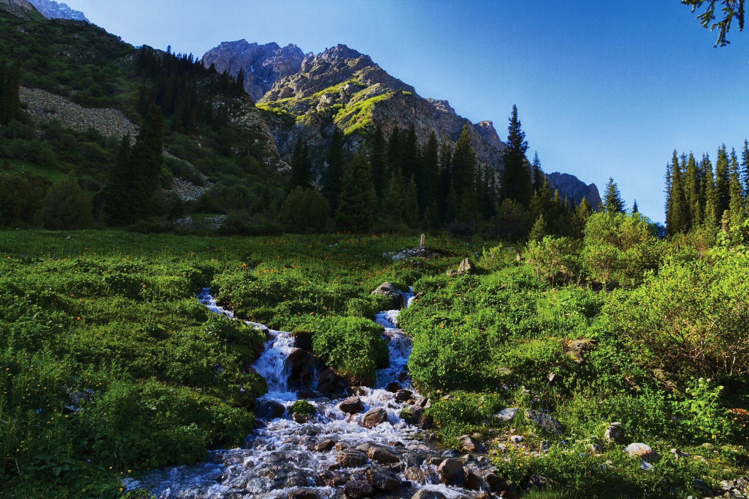 2600x1730 Mountains Scenery Kyrgyzstan Tian Shan Stream Grass Nature wallpaper, Desktop