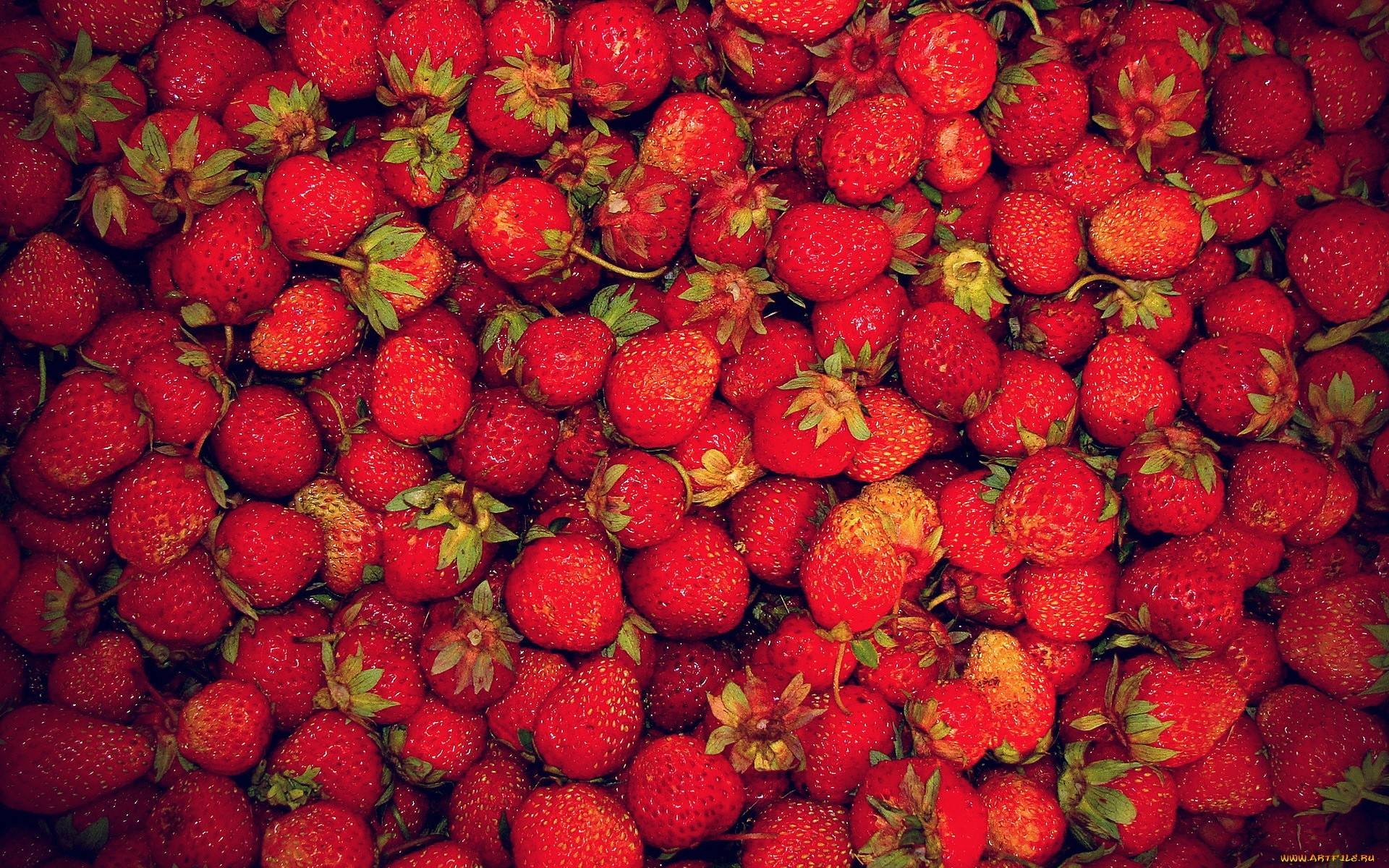 1920x1200 Strawberry Wallpaper, Desktop