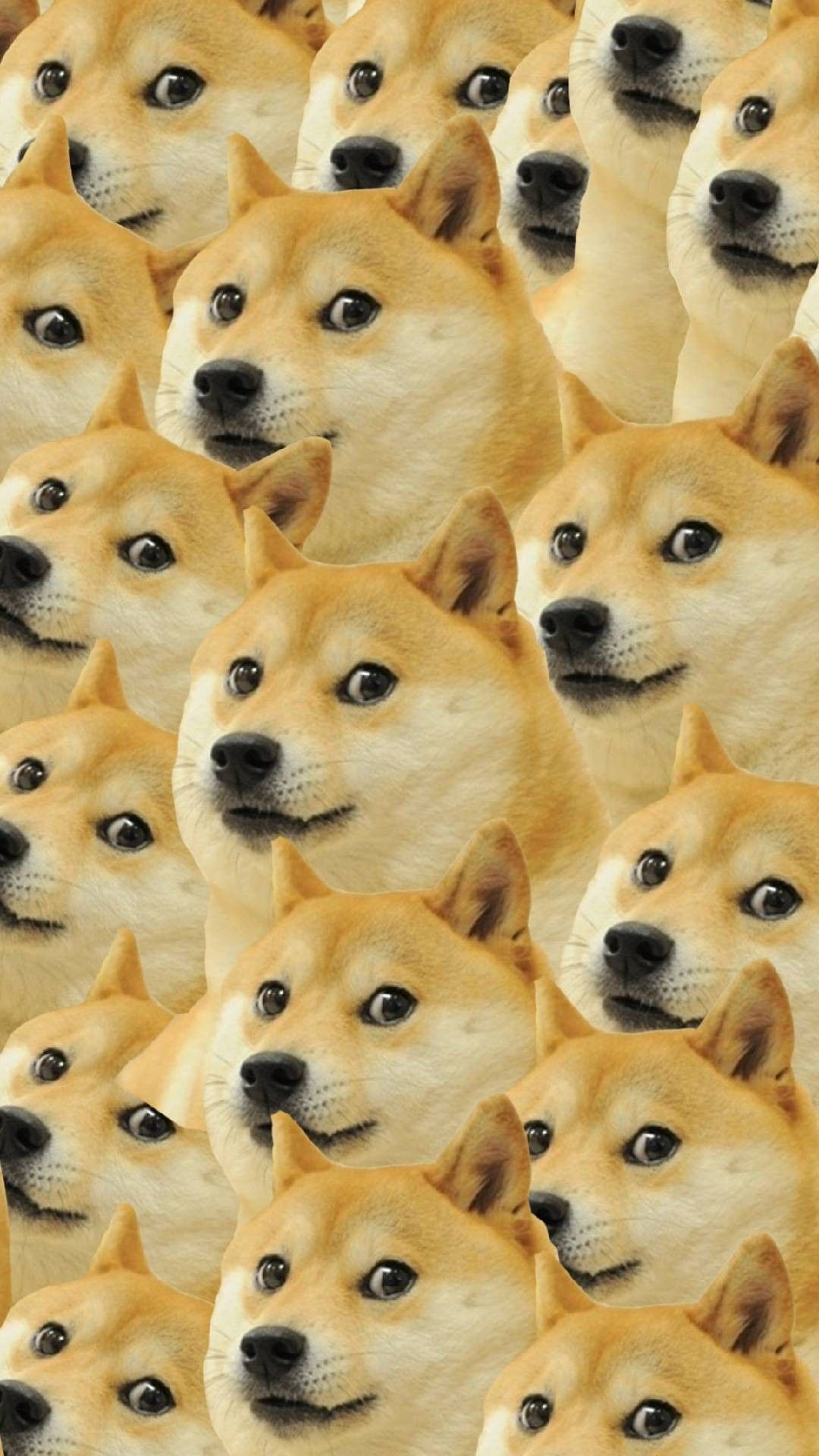 1080x1920 Shiba Inu Doge Wallpaper Home Screen. Dog wallpaper iphone, Dog, Phone