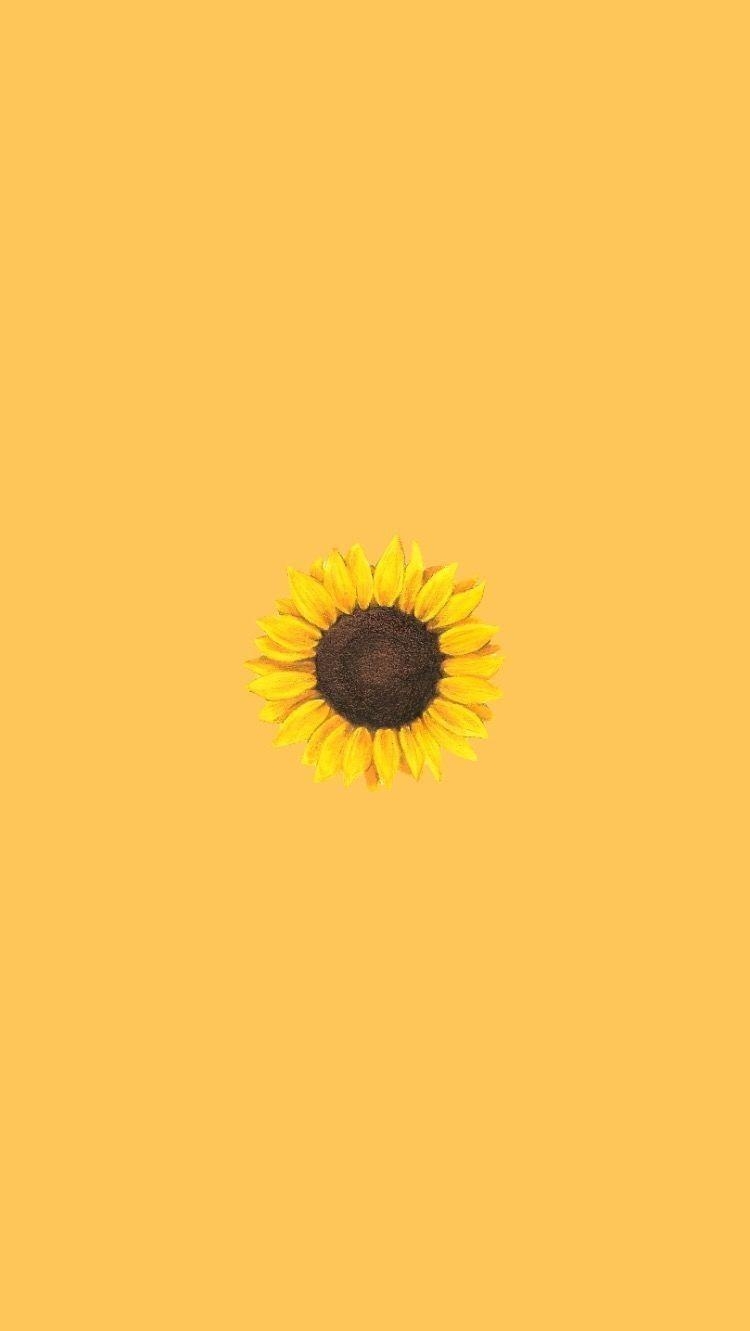 750x1340 Sunflower Aesthetic Wallpaper Free Sunflower, Phone