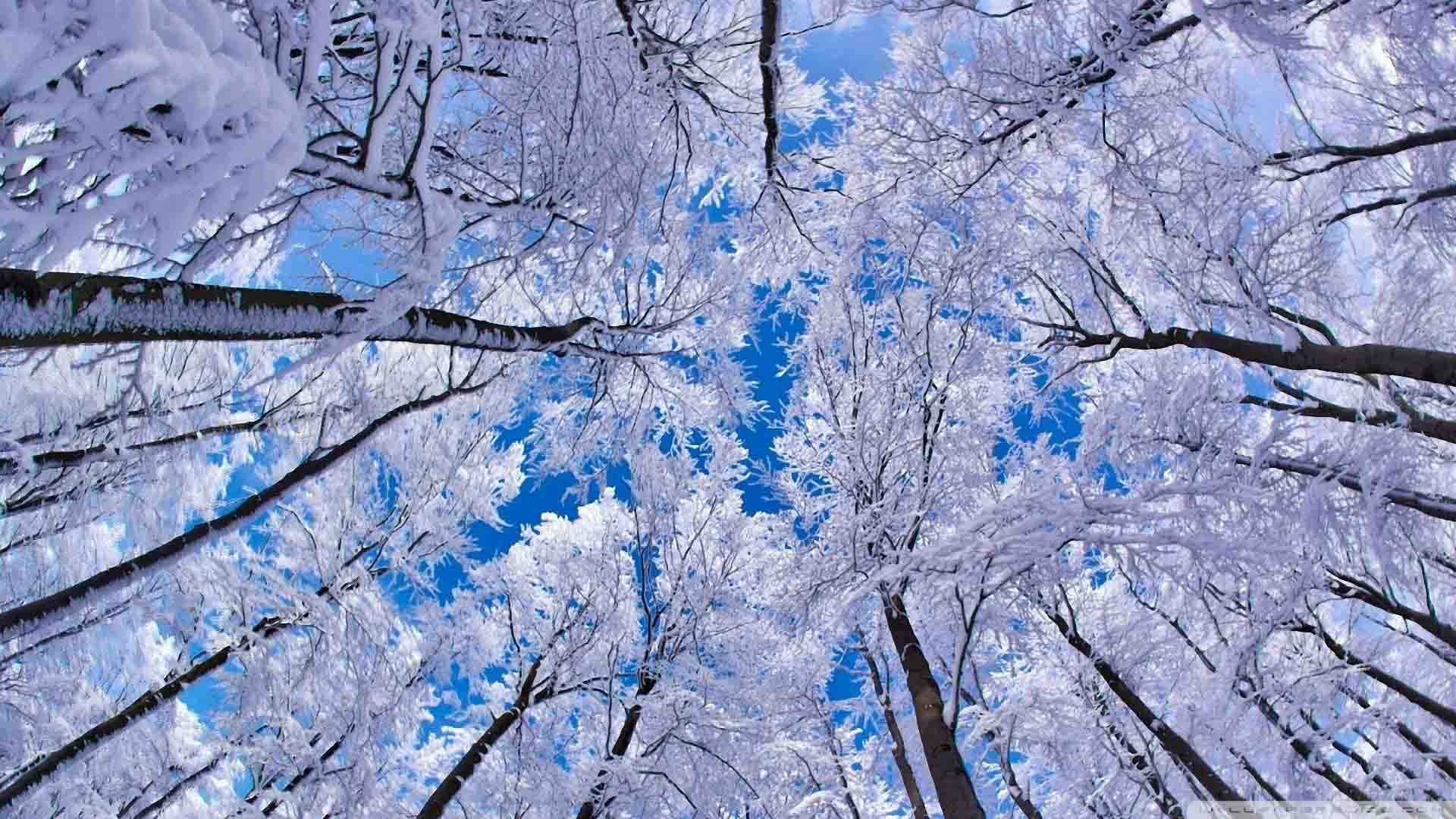 1920x1080 Winter Season Latest HD Wallpaper Free Download. HD Free, Desktop