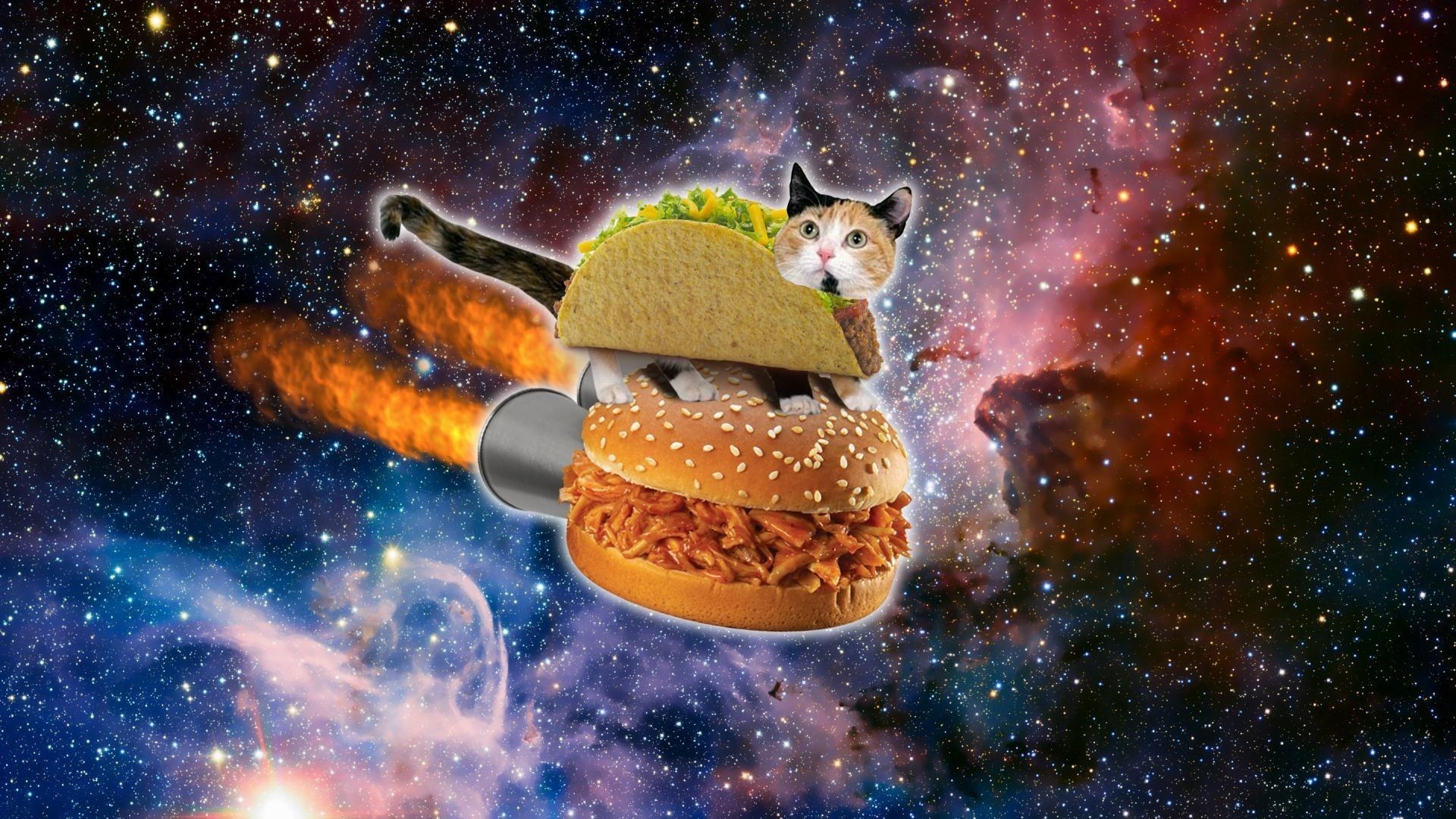 1920x1080 Galaxy Cat Wallpaper, Desktop