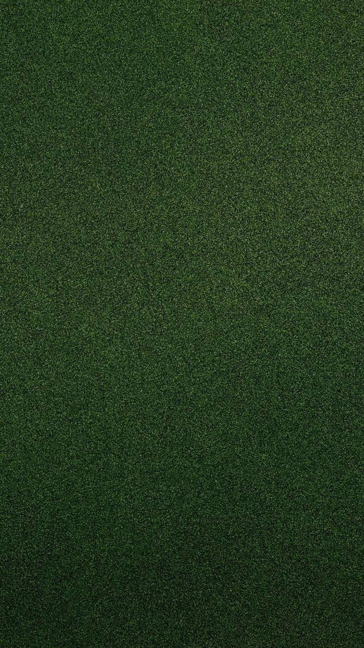 750x1340 HD Green iPhone Wallpaper, Phone