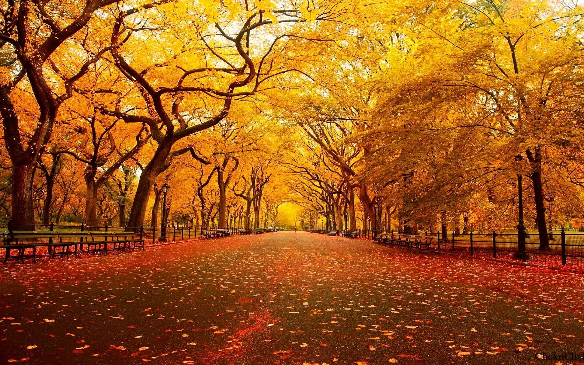 1920x1200 Autumn Wallpaper / Dat Zoom, Desktop